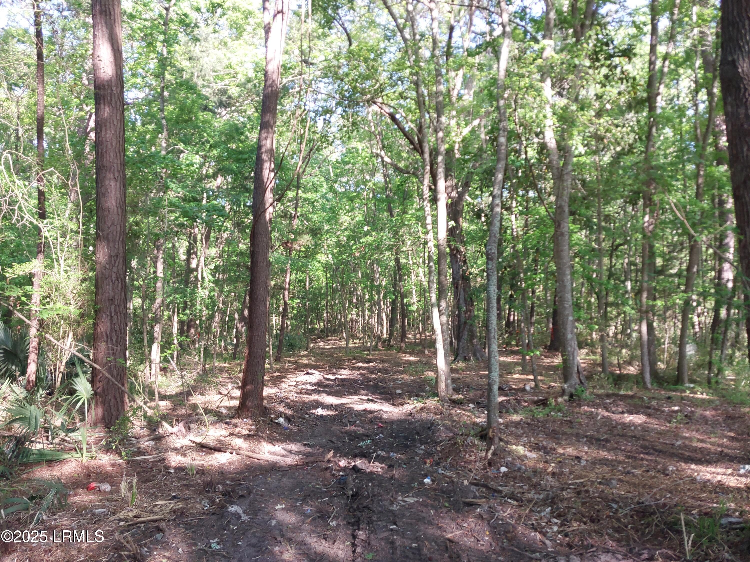 20250414_093101 - Tbd Charleston Highway, Sheldon, SC 29941