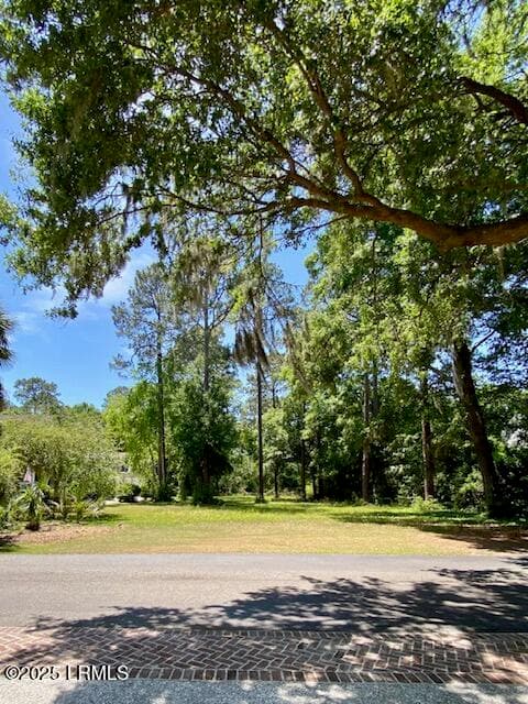 IMG_2663 - 185 Distant Island Drive, Beaufort, SC 29907