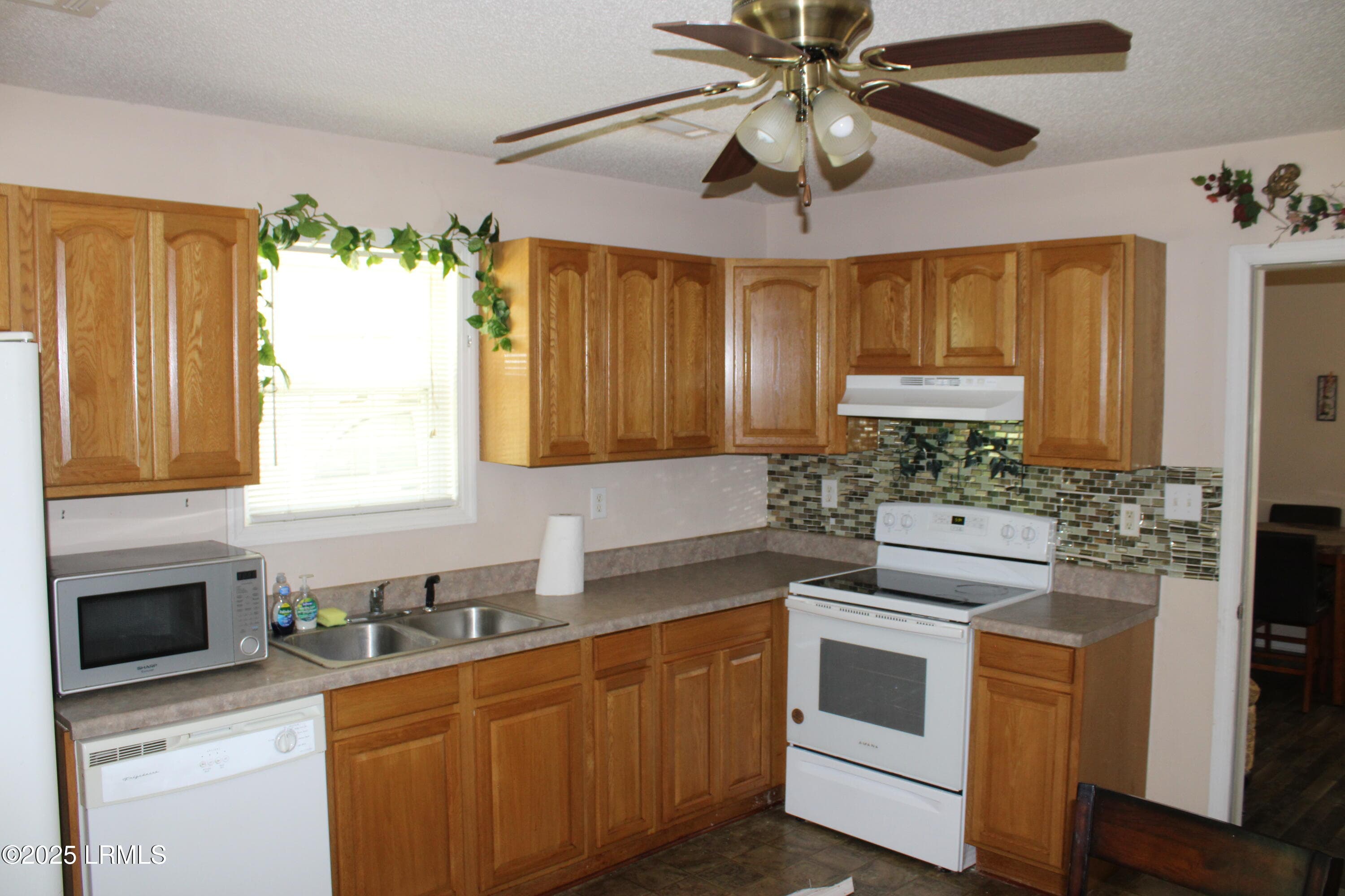 IMG_2897 - 609 Ashley Drive, Hampton, SC 29924, Hampton