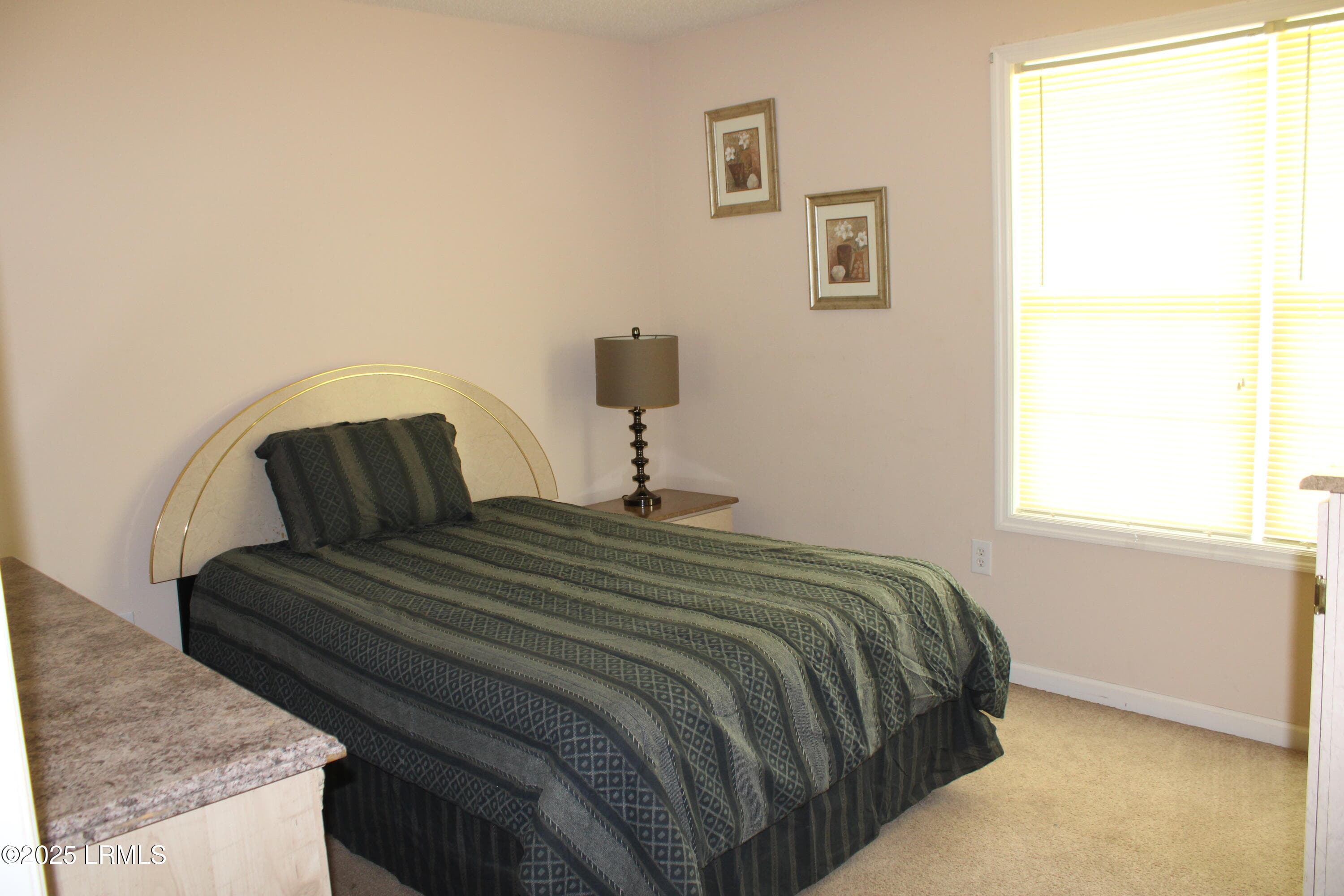 IMG_2899 - 609 Ashley Drive, Hampton, SC 29924, Hampton