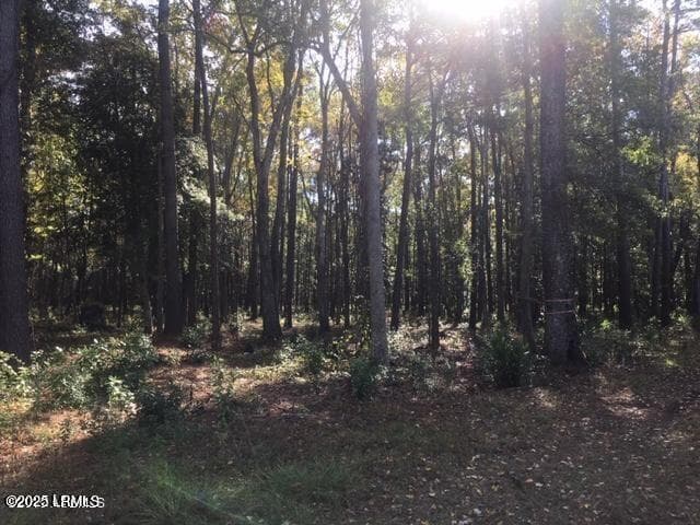 Tbd 7 - Tbd Goethe Hill Road, Beaufort, SC 29906, Beaufort