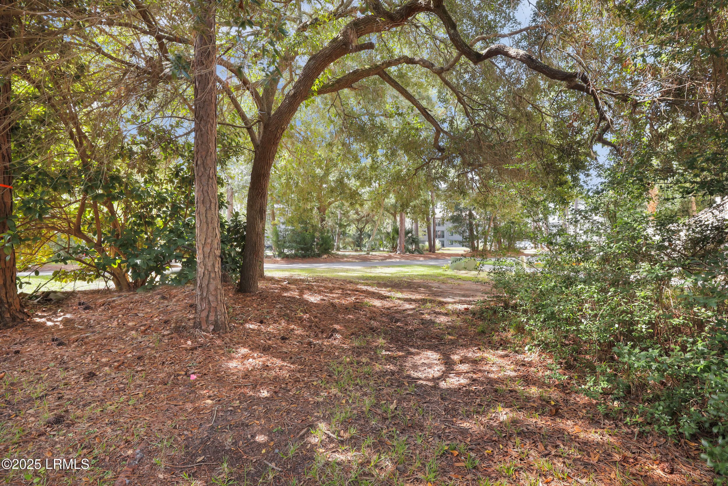 30_1x2a0903 - 46 Quartermaster Lane, Hilton Head Island, SC 29928