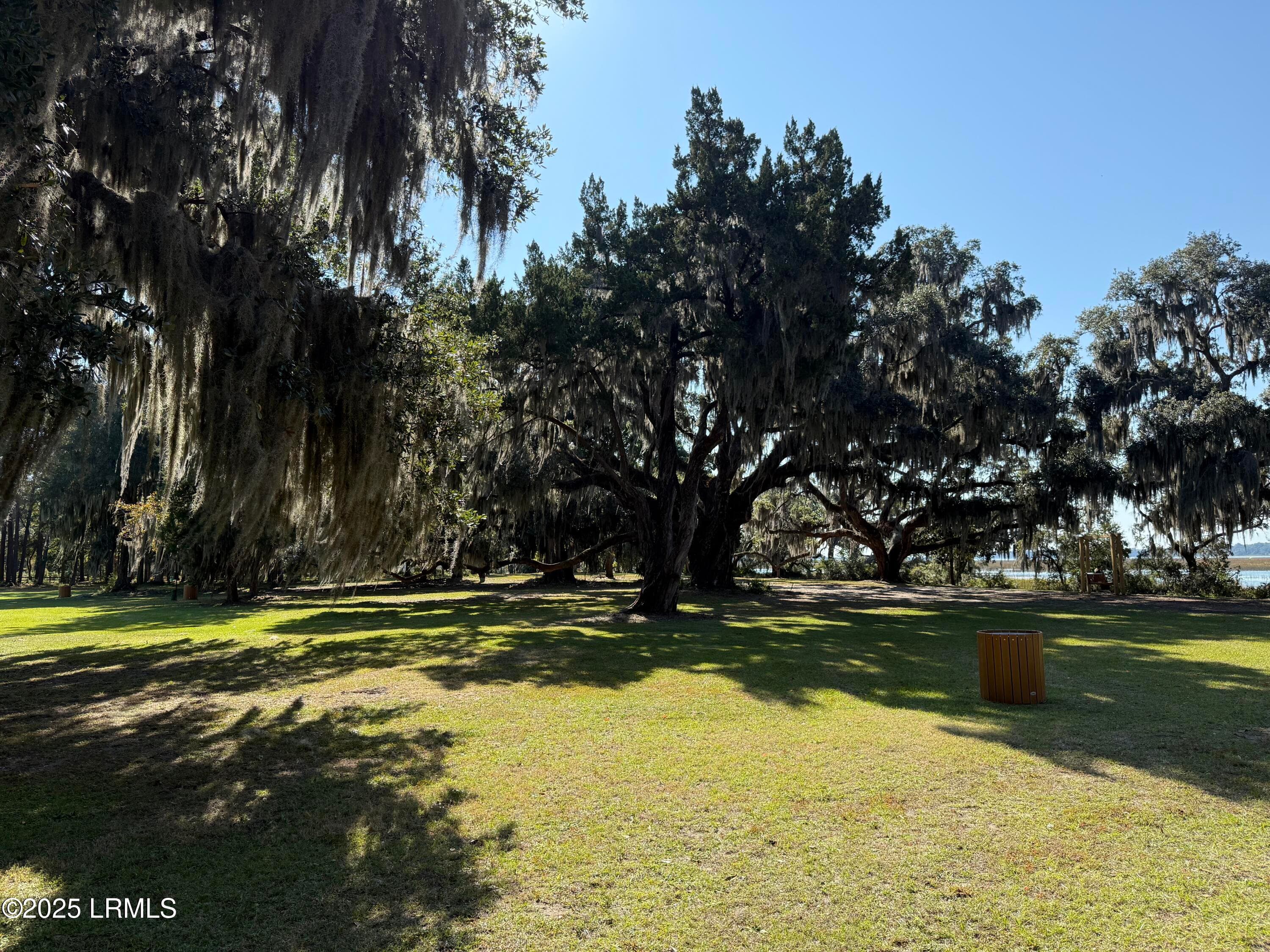 IMG_0931 - 6 Harborview Circle, Beaufort, SC 29907