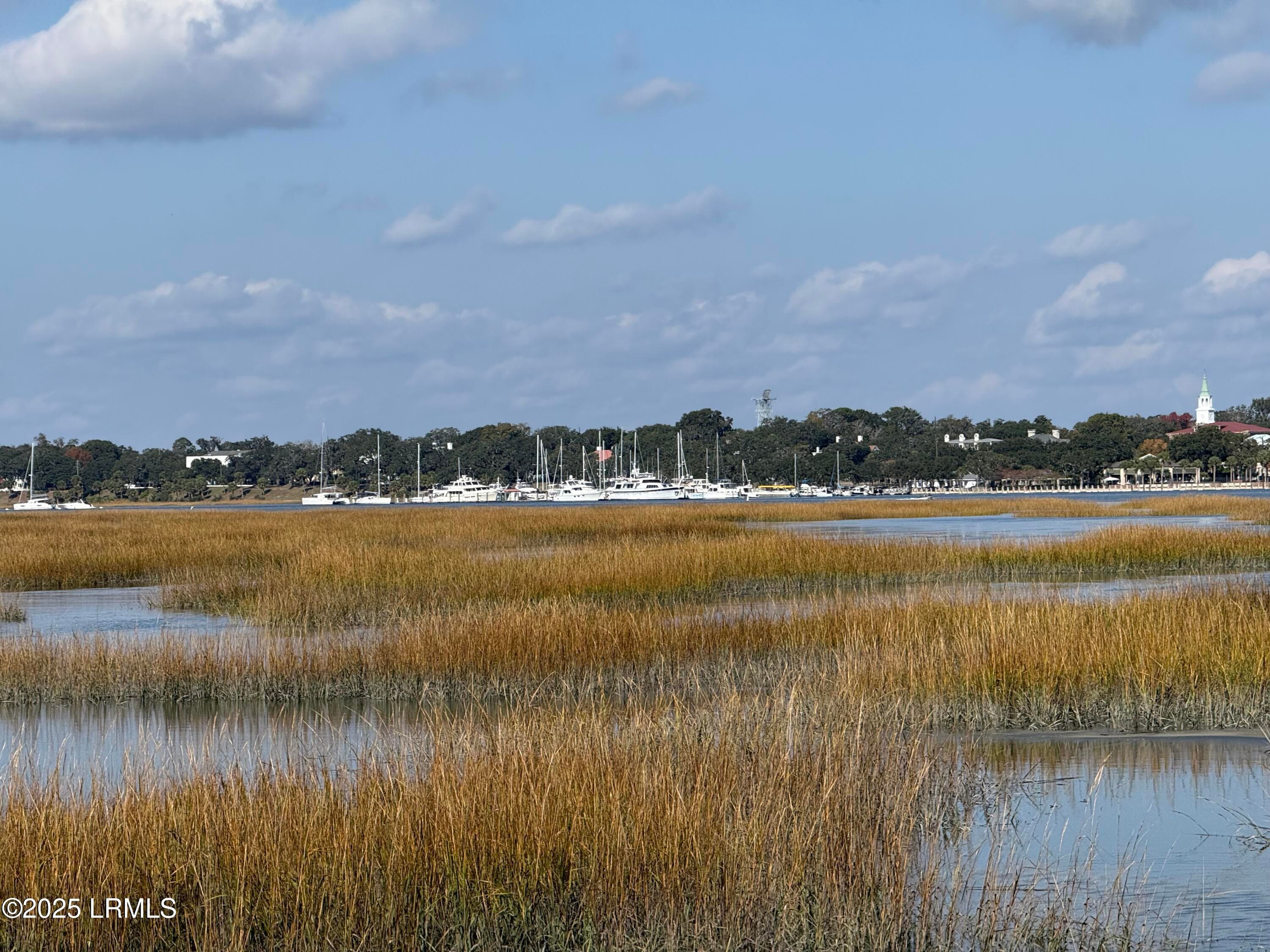 IMG_0929 - 6 Harborview Circle, Beaufort, SC 29907