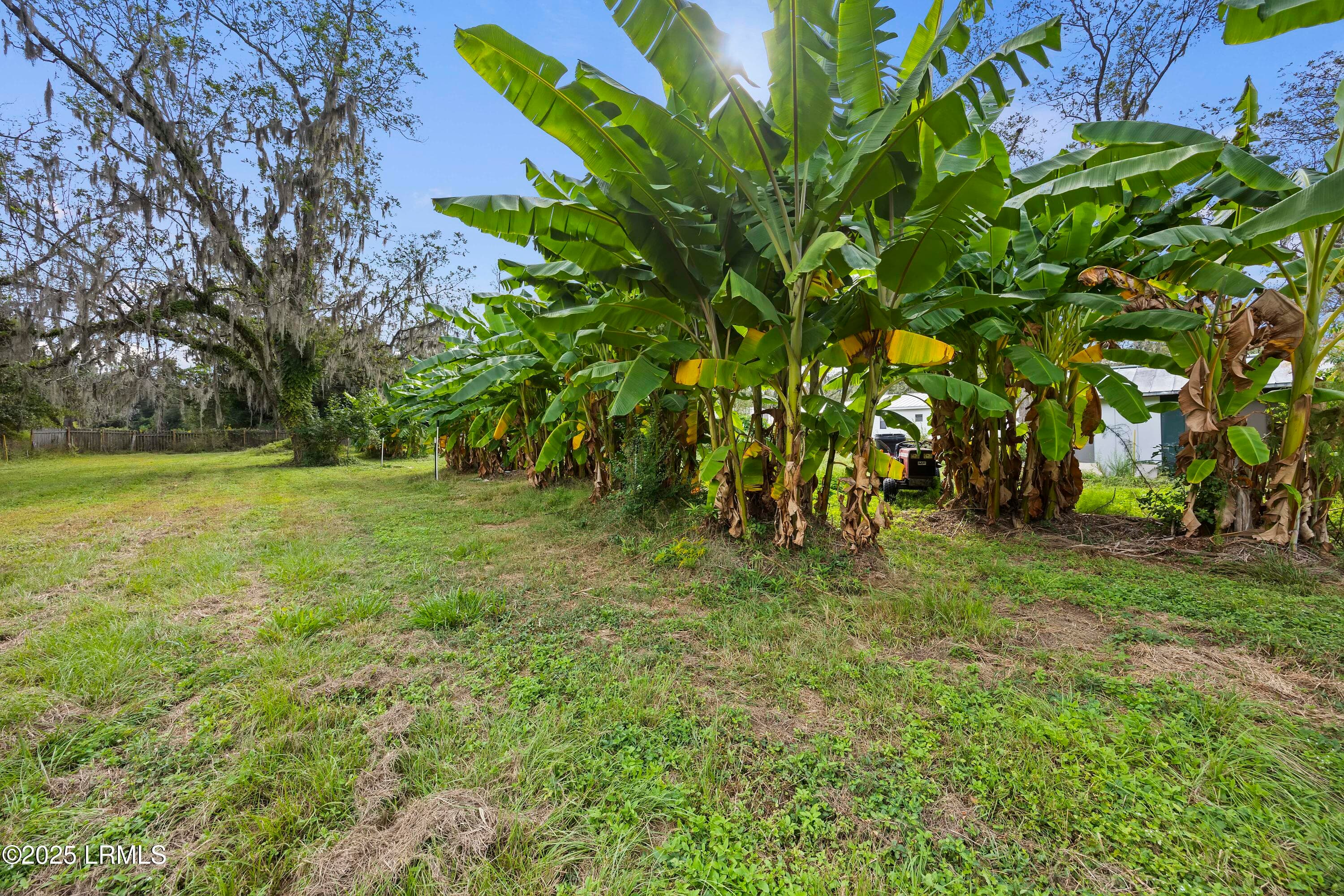 4R9A6833 - 196 Country Craft Road, Estill, SC 29918