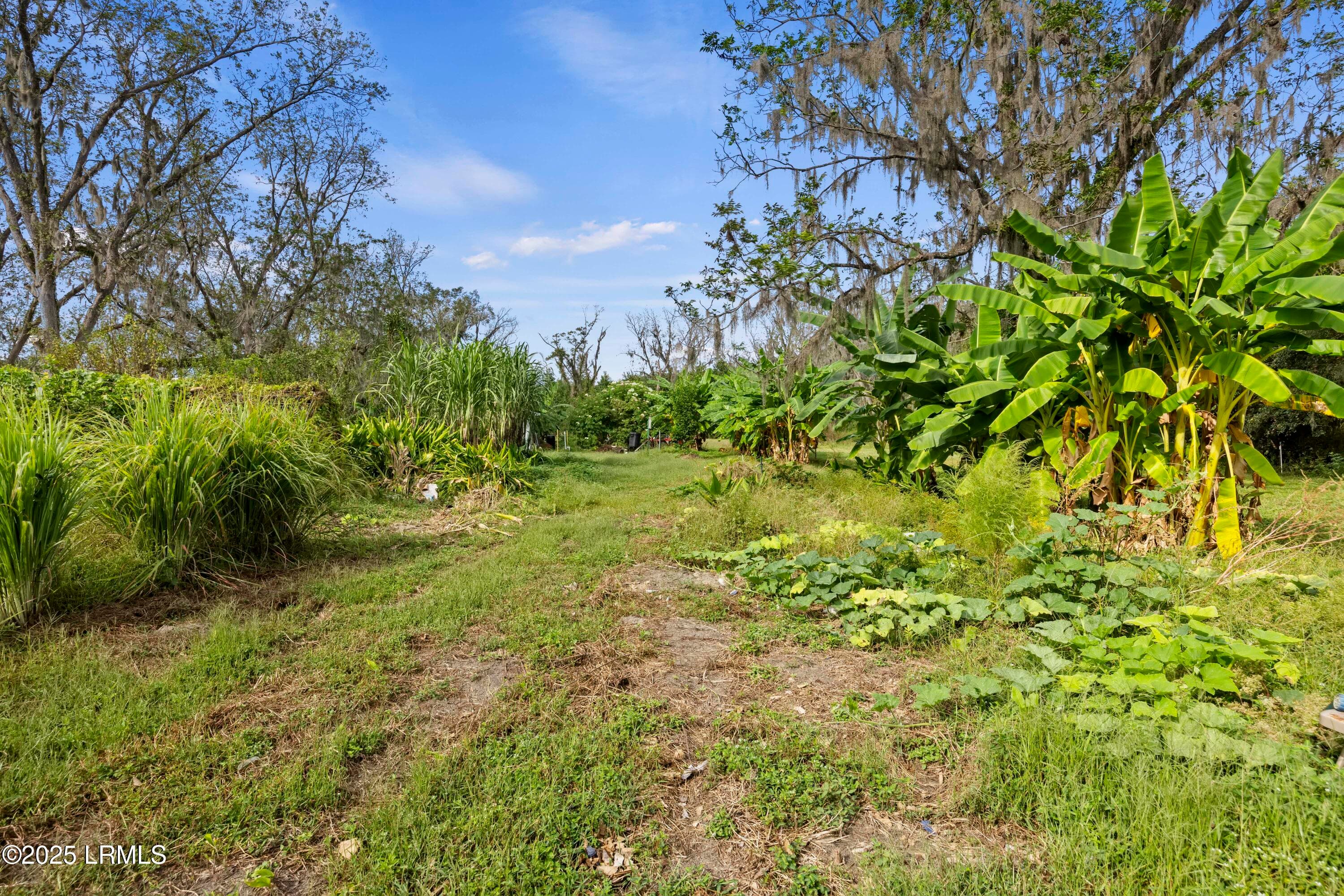 4R9A6849 - 196 Country Craft Road, Estill, SC 29918