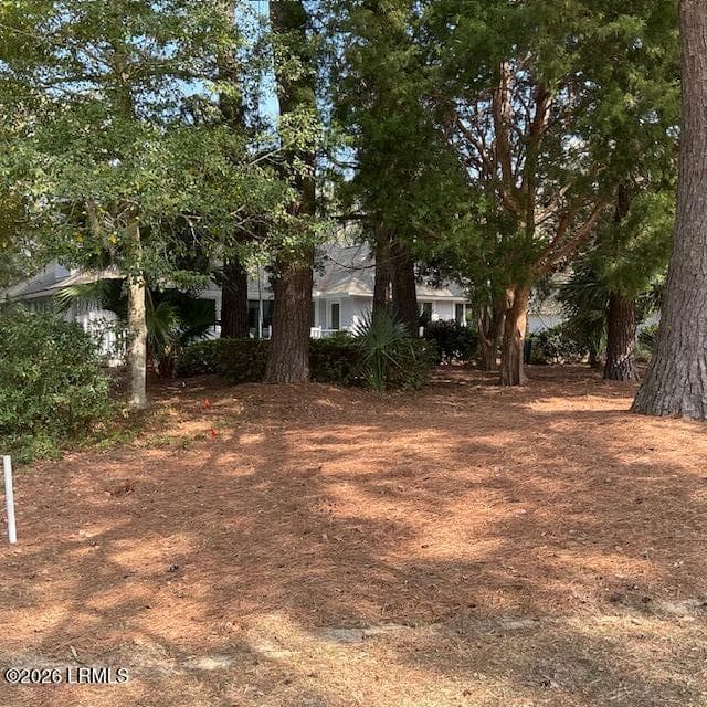 IMG_1475 - 754 Island Circle E, St. Helena Island, SC 29920