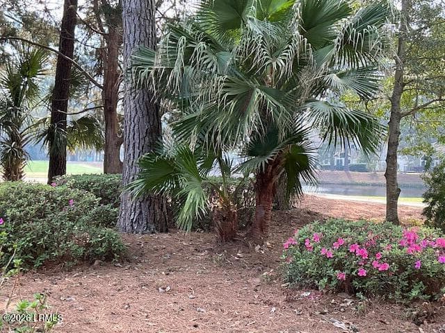 IMG_1472 - 754 Island Circle E, St. Helena Island, SC 29920