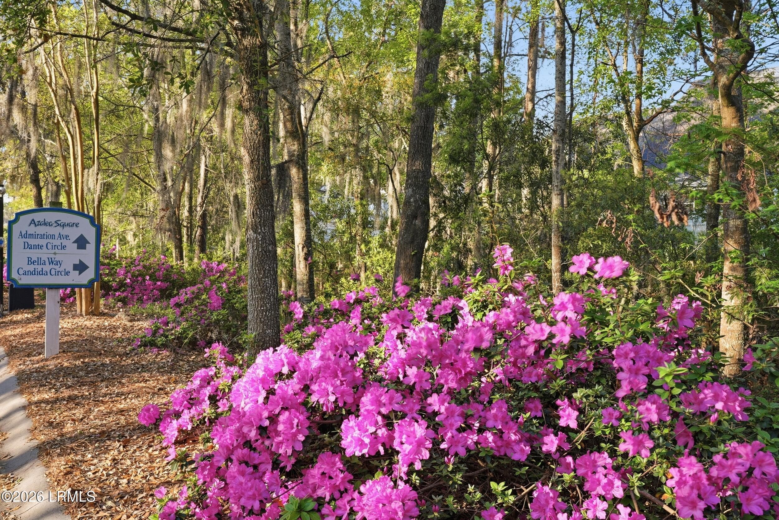37_dsc00067 - 387 Dante Circle, Beaufort, SC 29906