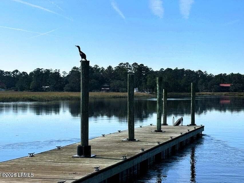 Birds - 186 Castle Hill Drive, Yemassee, SC 29945, Yemassee