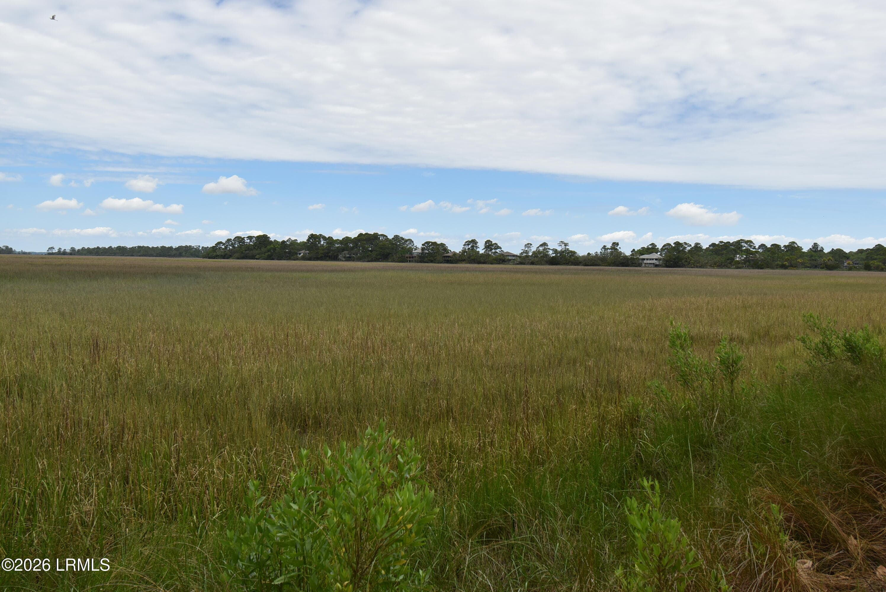 Rear View - 831 Marsh Dunes Road, Fripp Island, SC 29920