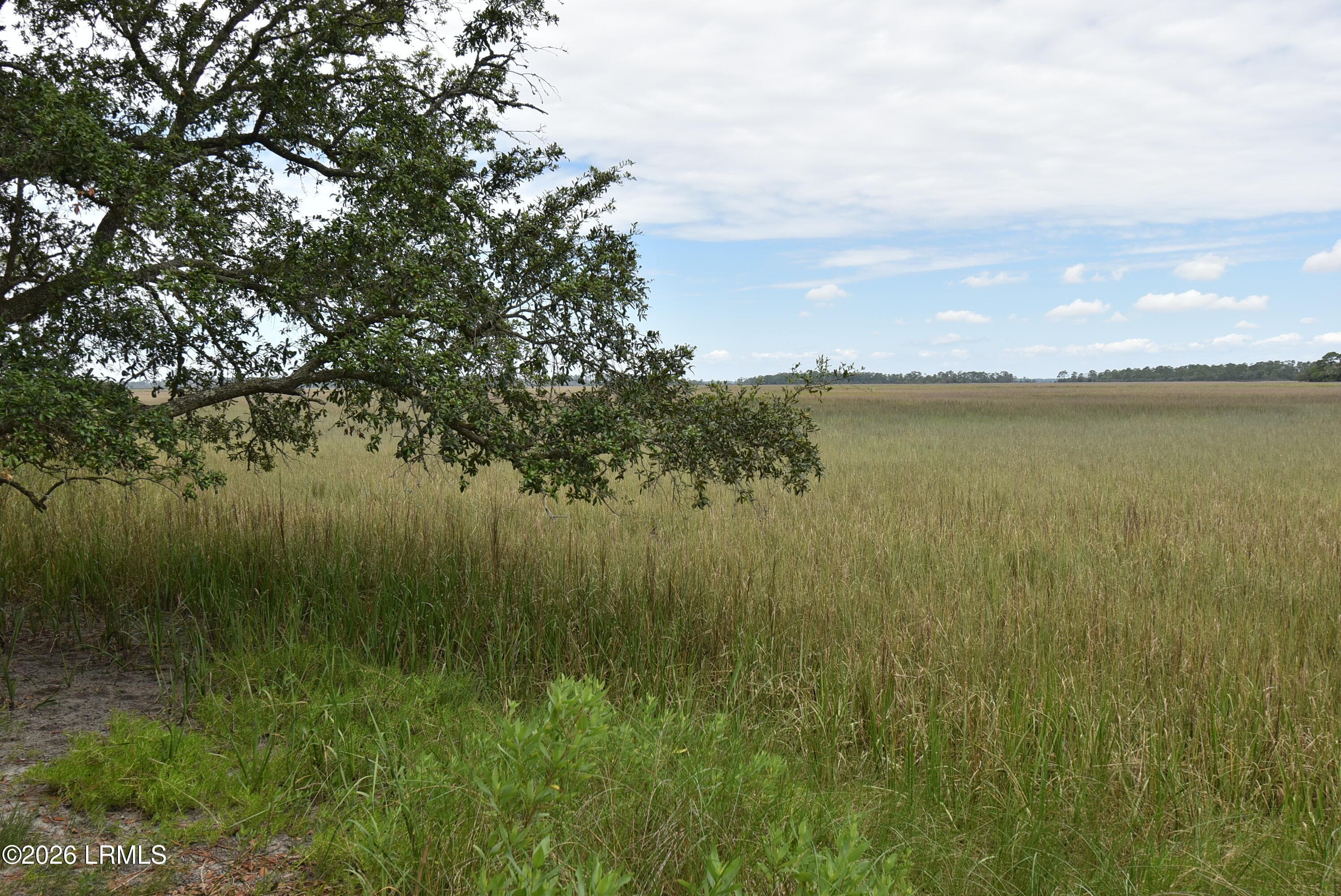 Rear View - 831 Marsh Dunes Road, Fripp Island, SC 29920