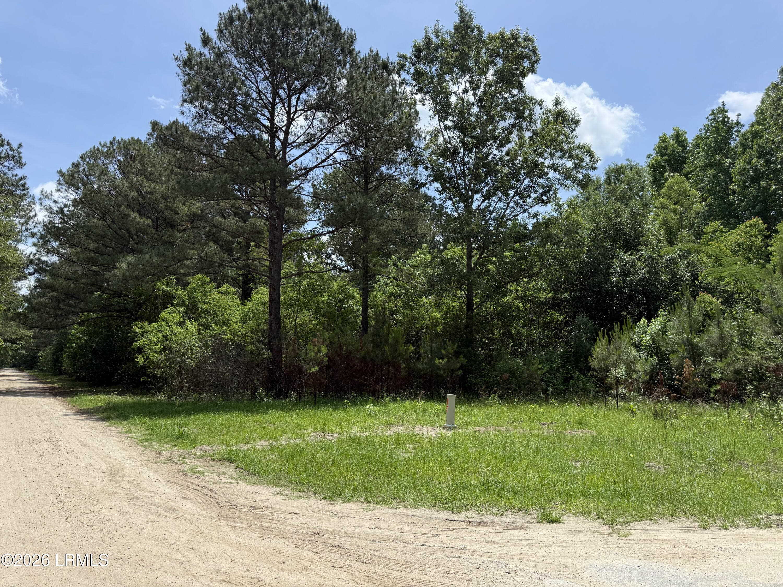 IMG_6106 - 12 Rubie Lane, Yemassee, SC 29945