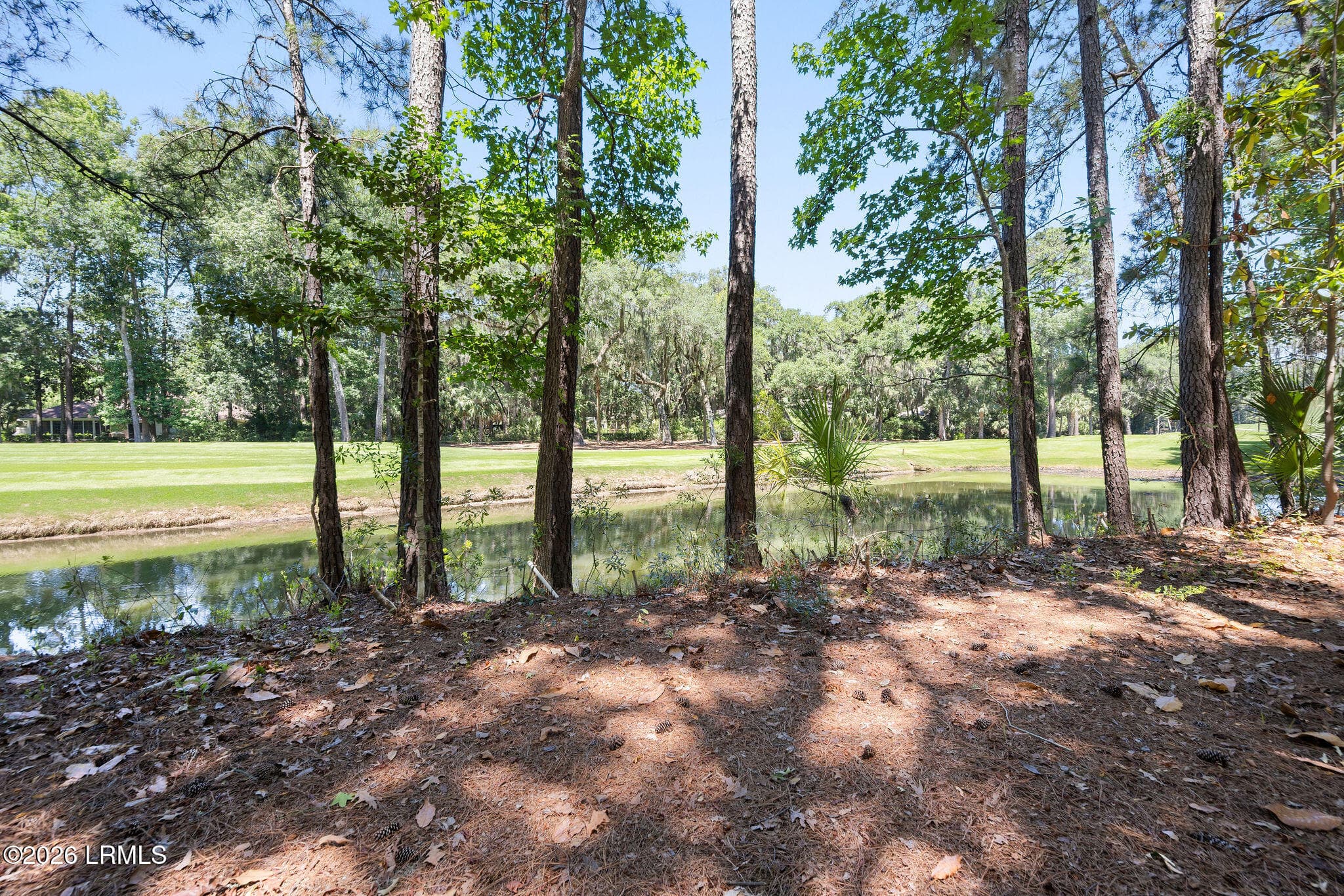 Lagoon.golf view - 64 Osprey Circle, Okatie, SC 29909, Okatie