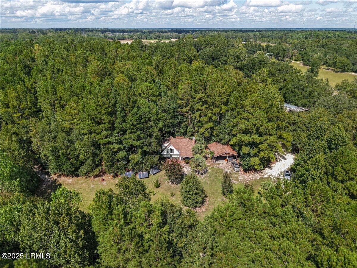 38-Aerial - 168 Walker Road, Early Branch, SC 29916
