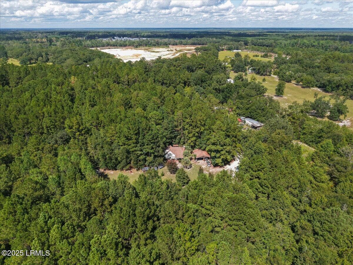 39-Aerial - 168 Walker Road, Early Branch, SC 29916
