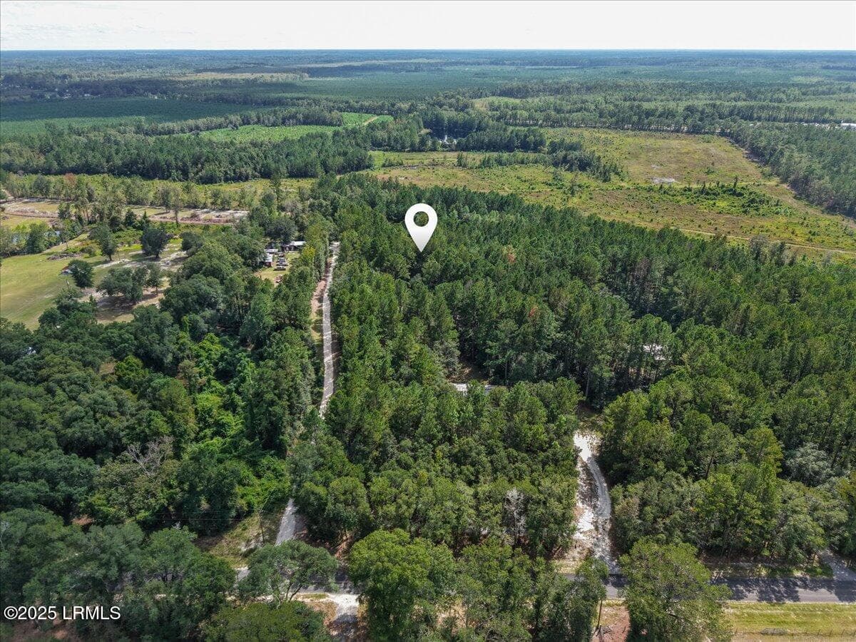 42-Aerial - 168 Walker Road, Early Branch, SC 29916