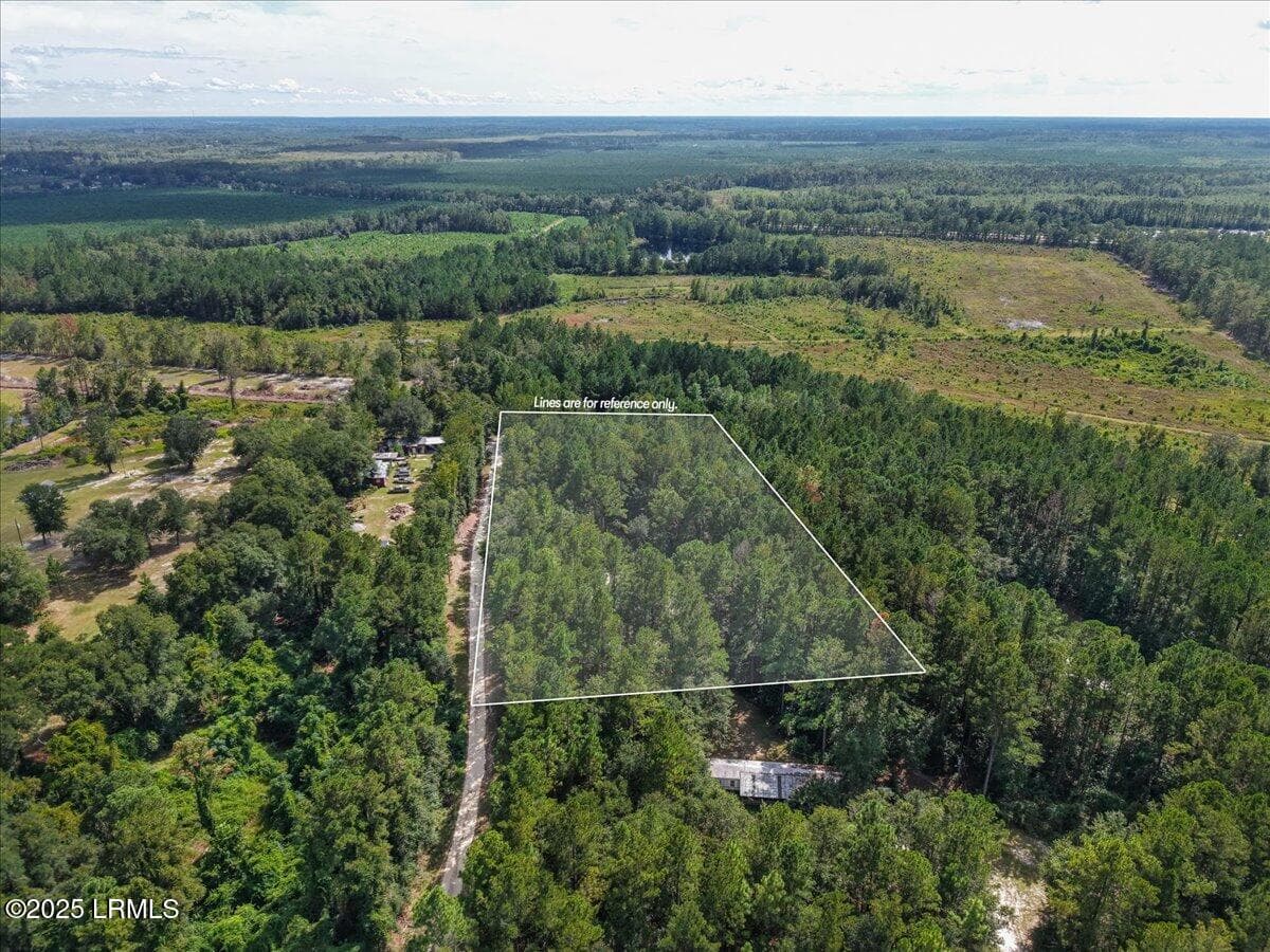 43-Aerial - 168 Walker Road, Early Branch, SC 29916