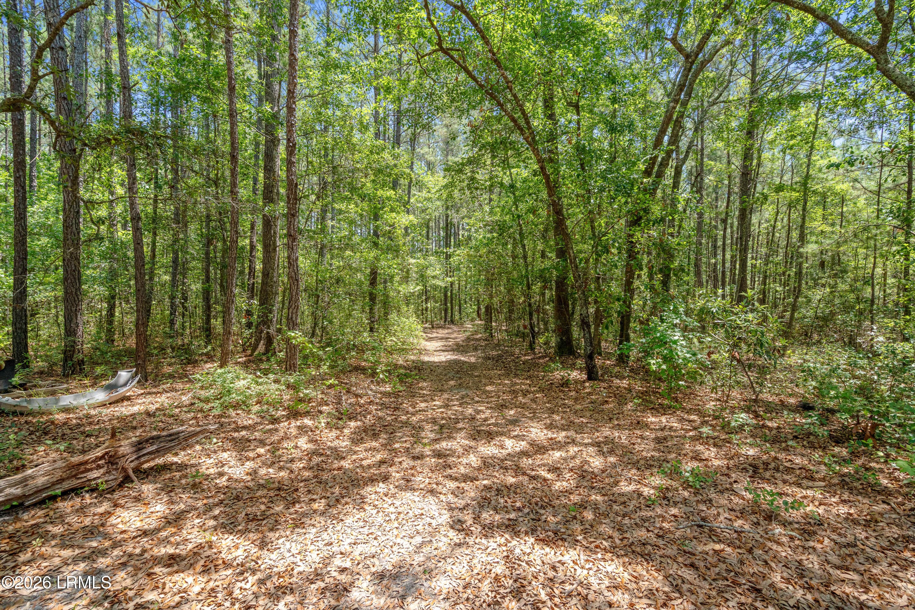 3958 Pineland-63 - 3958 Pineland Road, Varnville, SC 29944