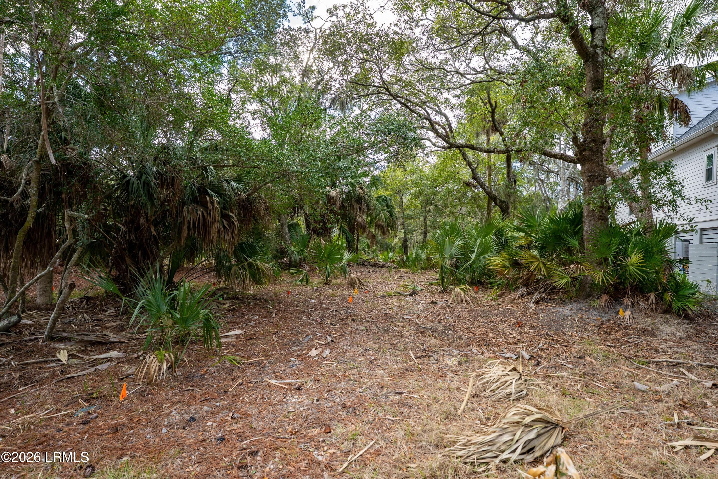 DSC08745-1.jpg-FULL - 211 Deer Run Road, Fripp Island, SC 29920