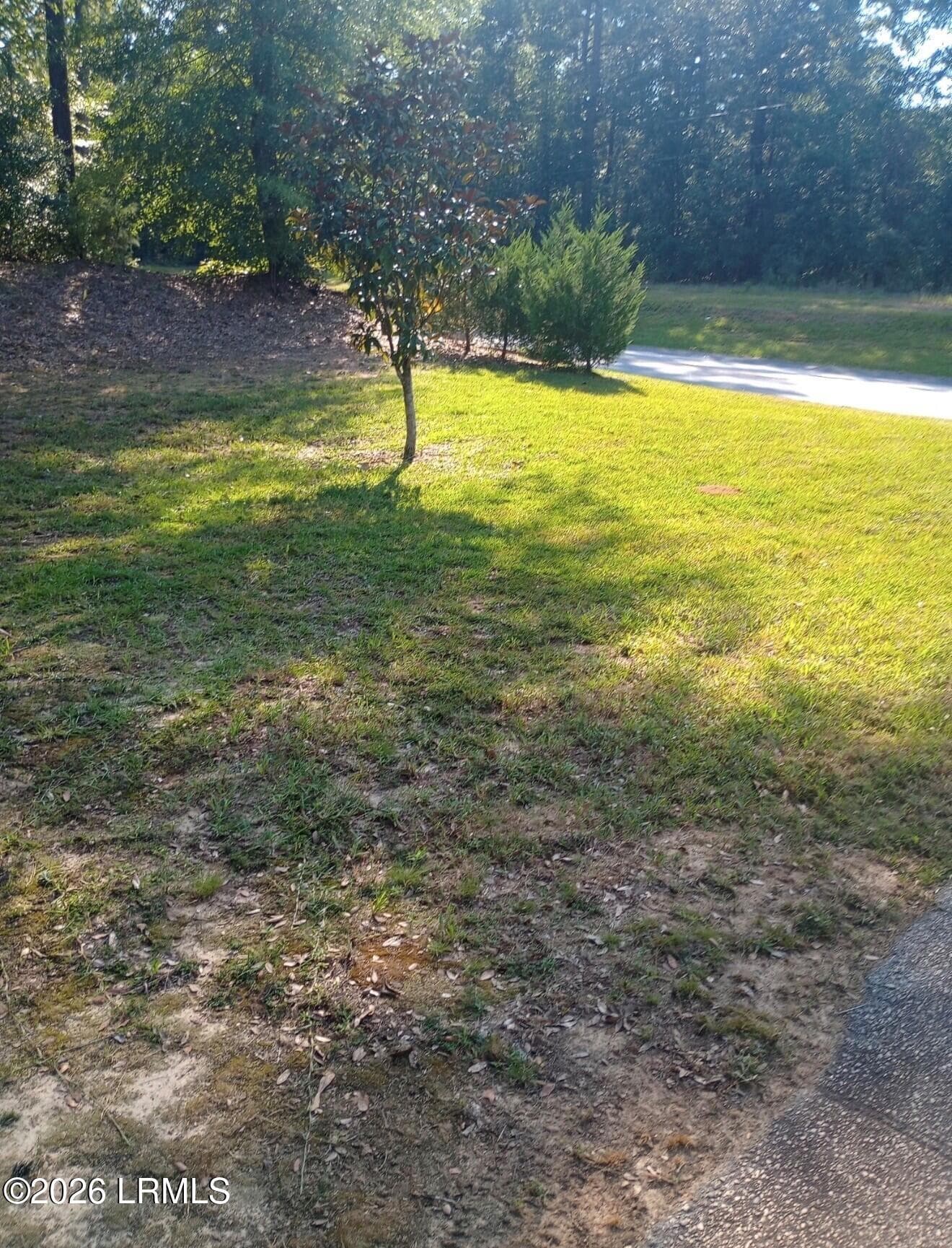 Front yard - 7 Desoto Drive, Aiken, SC 29803