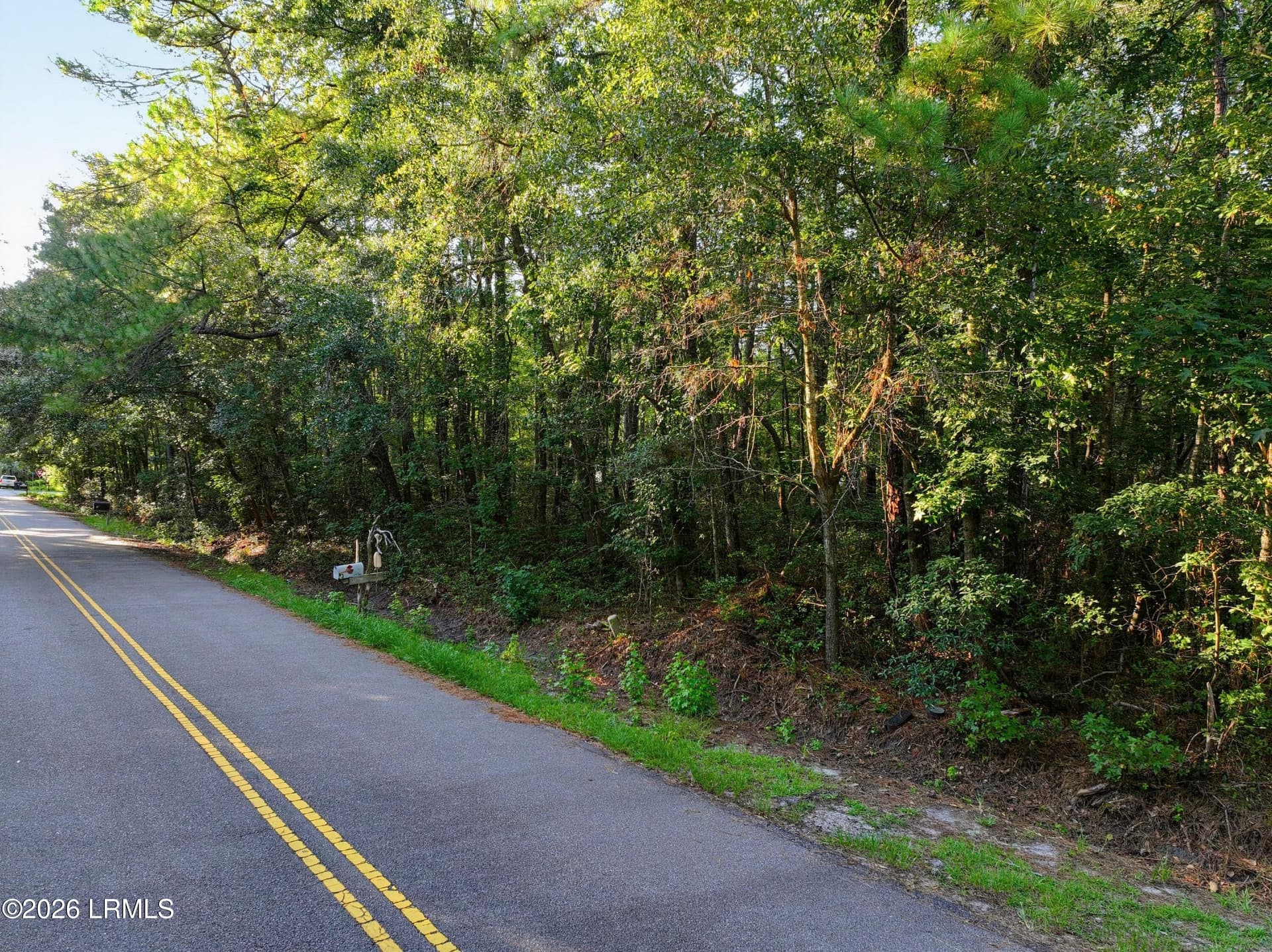 dji_fly_20260901_131016_0233_17883003877 - 4 And 6 Pickens Street, Beaufort, SC 29907
