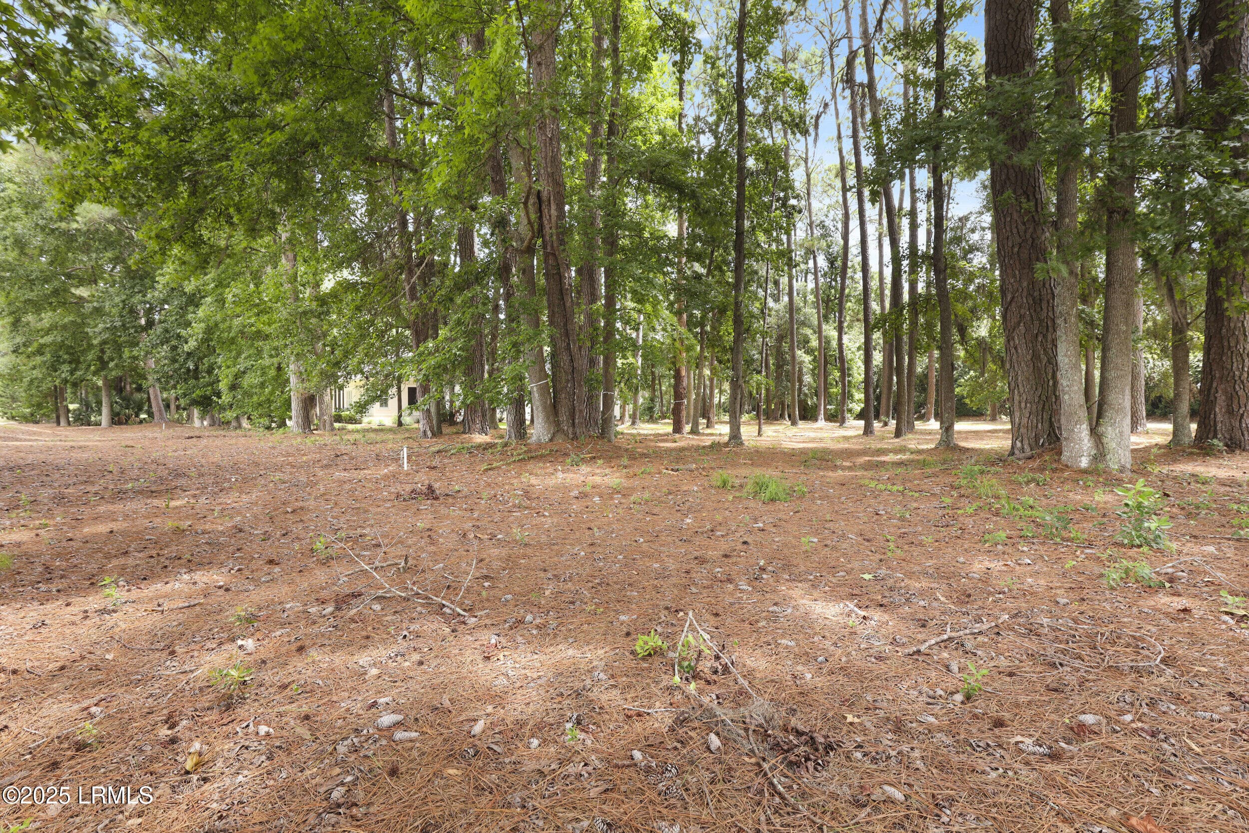 1x2a1795 - 47 Manchester Court, Bluffton, SC 29910, Bluffton