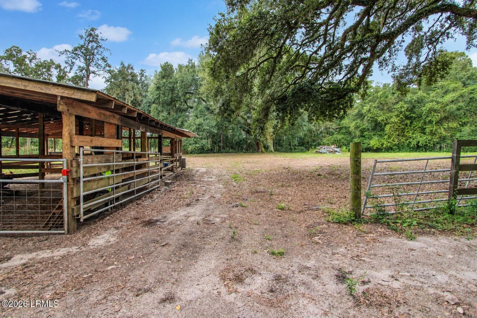 Pastures - 25632 Pocotaligo Road, Yemassee, SC 29945, Yemassee