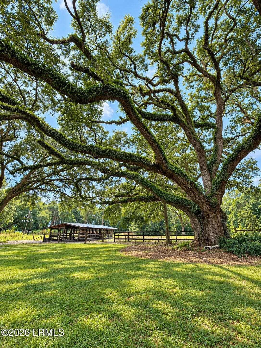 Oak - 25632 Pocotaligo Road, Yemassee, SC 29945, Yemassee