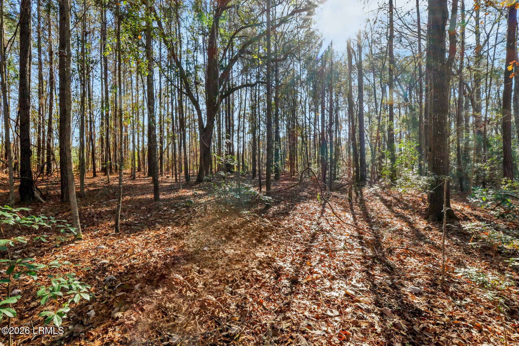 _11A1981 - Tbd N Okatie Highway, Okatie, SC 29909