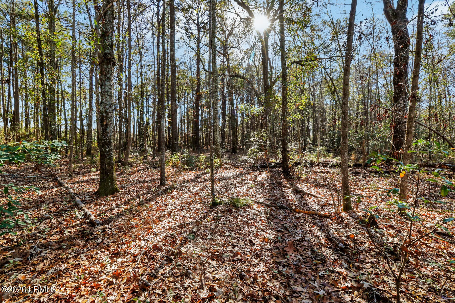_11A1990 - Tbd N Okatie Highway, Okatie, SC 29909