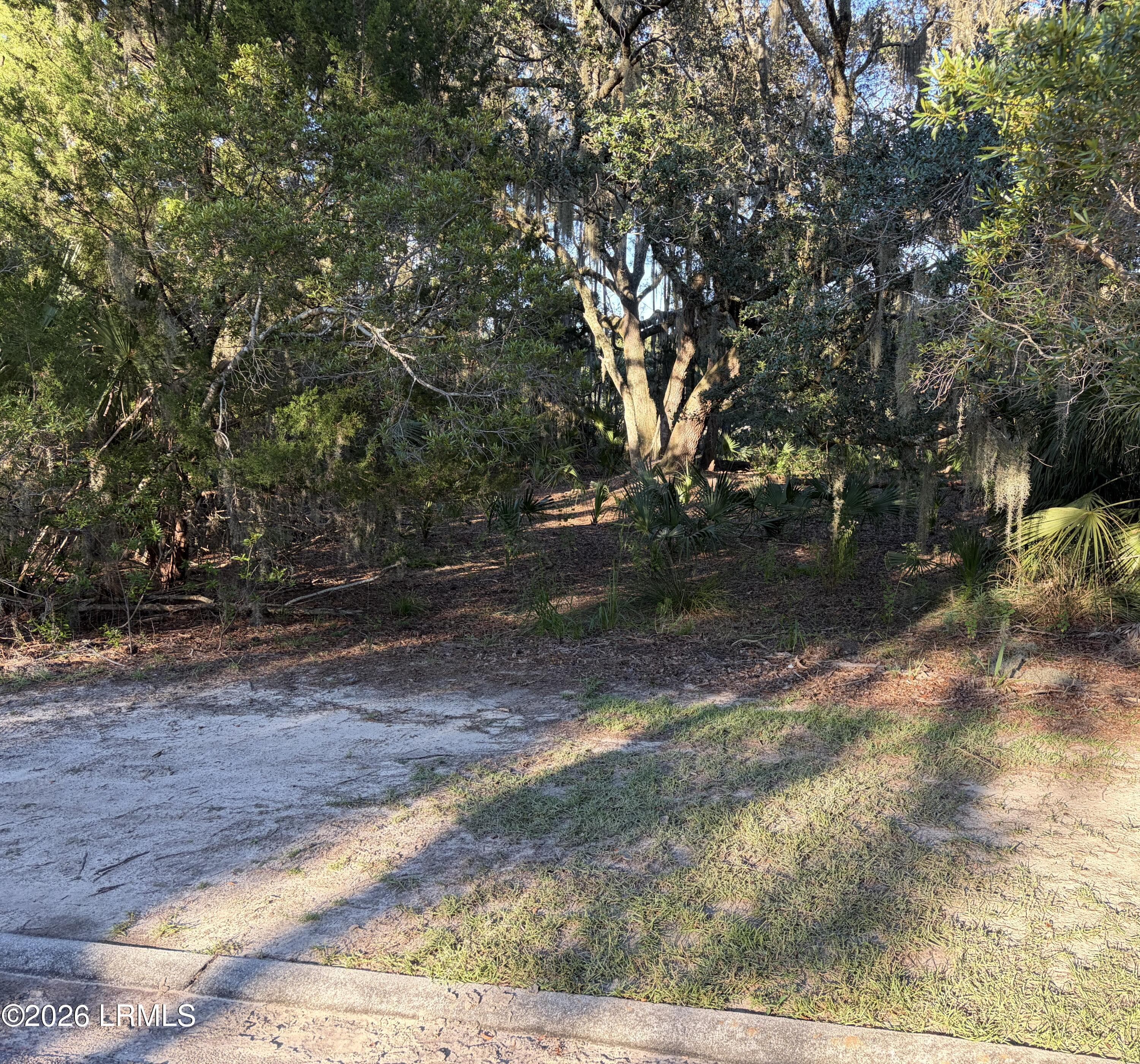 IMG_6999 - 4 Governor Blake Drive, Beaufort, SC 29907, Beaufort
