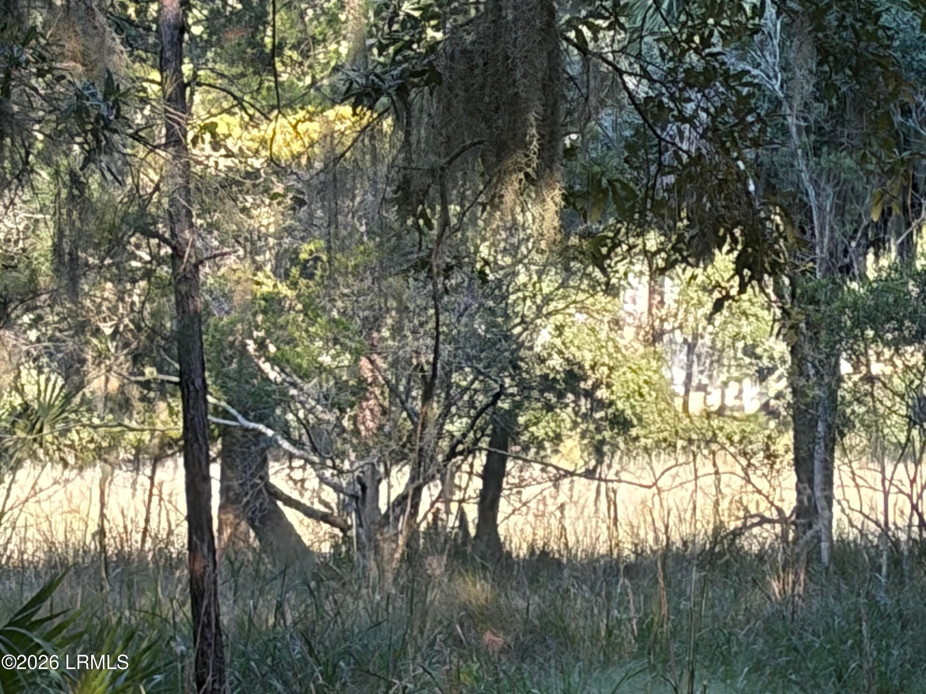 IMG_7002 - 4 Governor Blake Drive, Beaufort, SC 29907, Beaufort