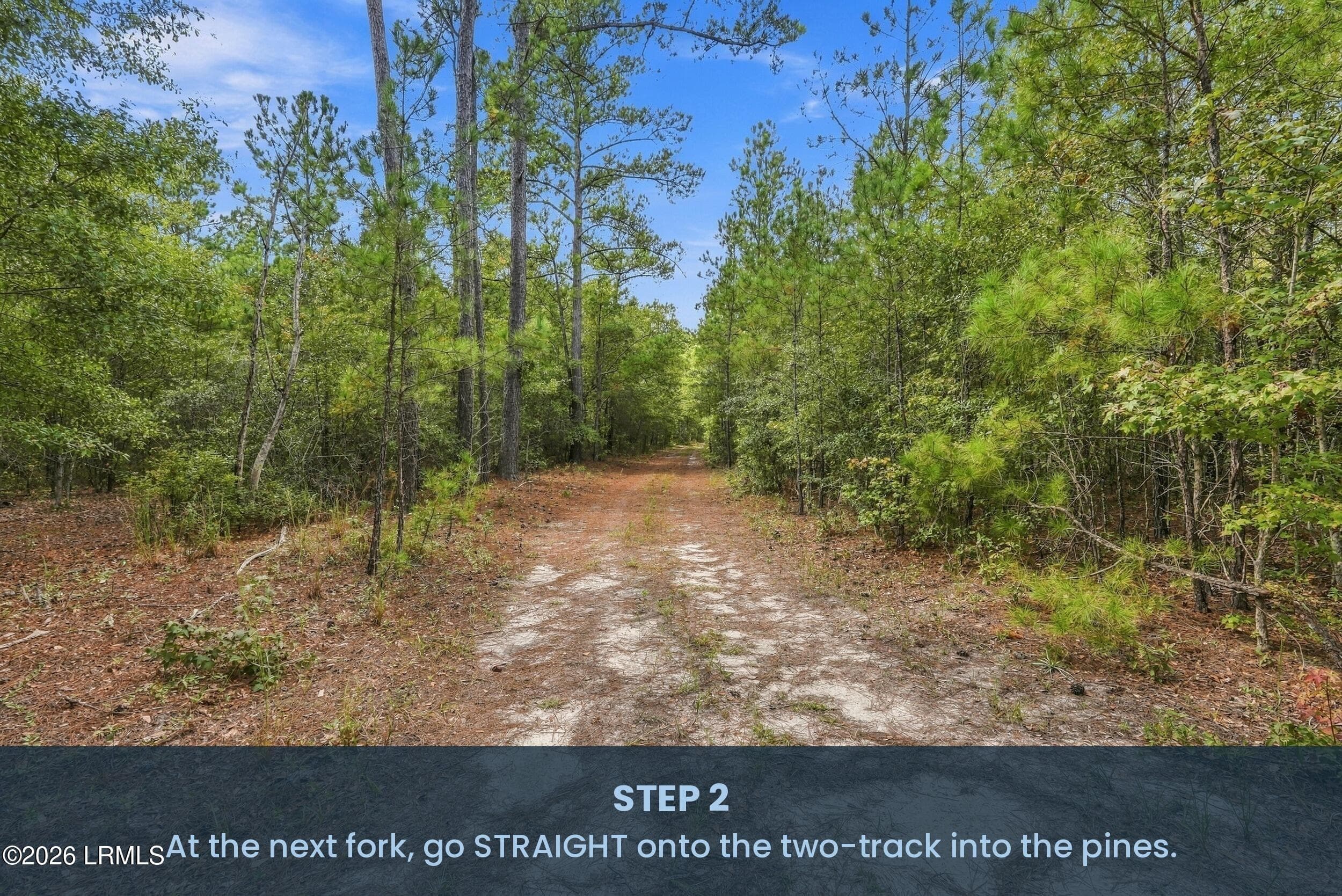 04_5_dsc08182 - Tbd Calf Pen Bay Road, Pineland, SC 29934, Pineland