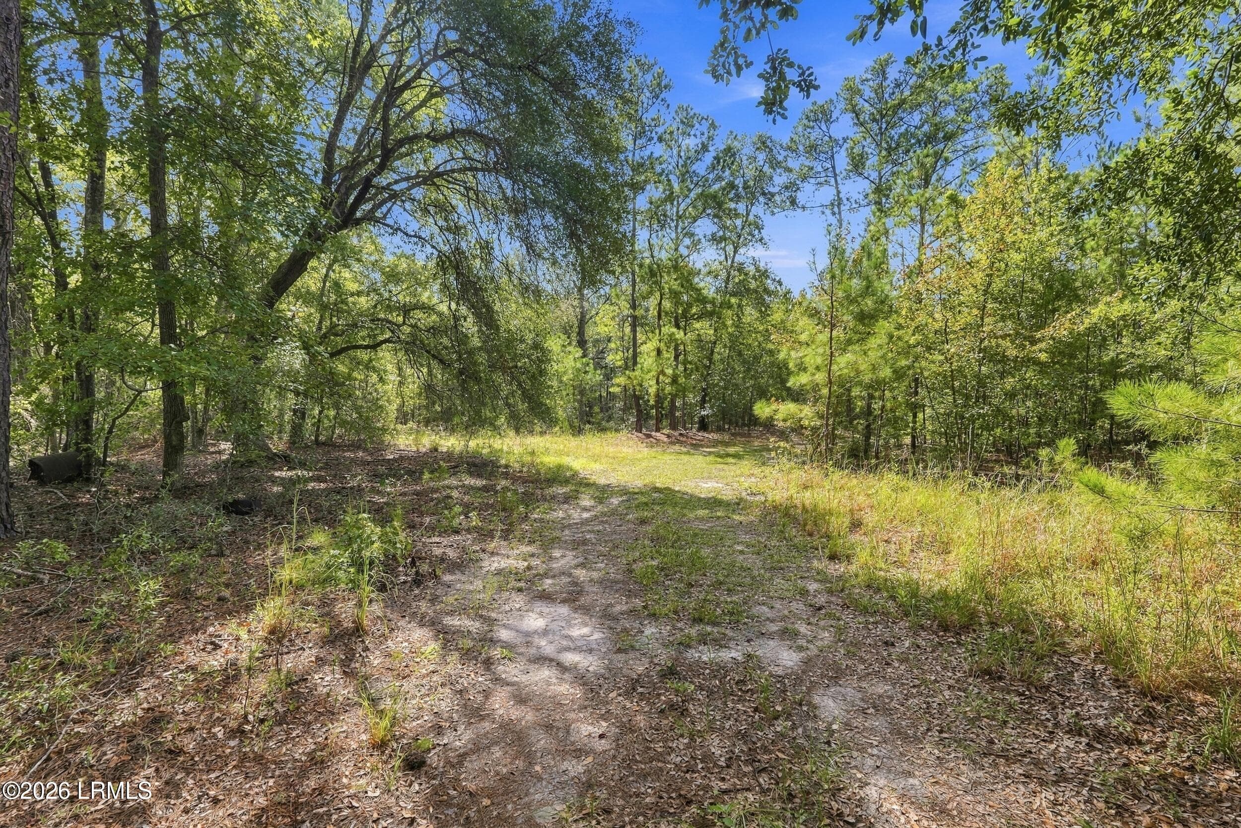 4_dsc08177 - Tbd Calf Pen Bay Road, Pineland, SC 29934, Pineland