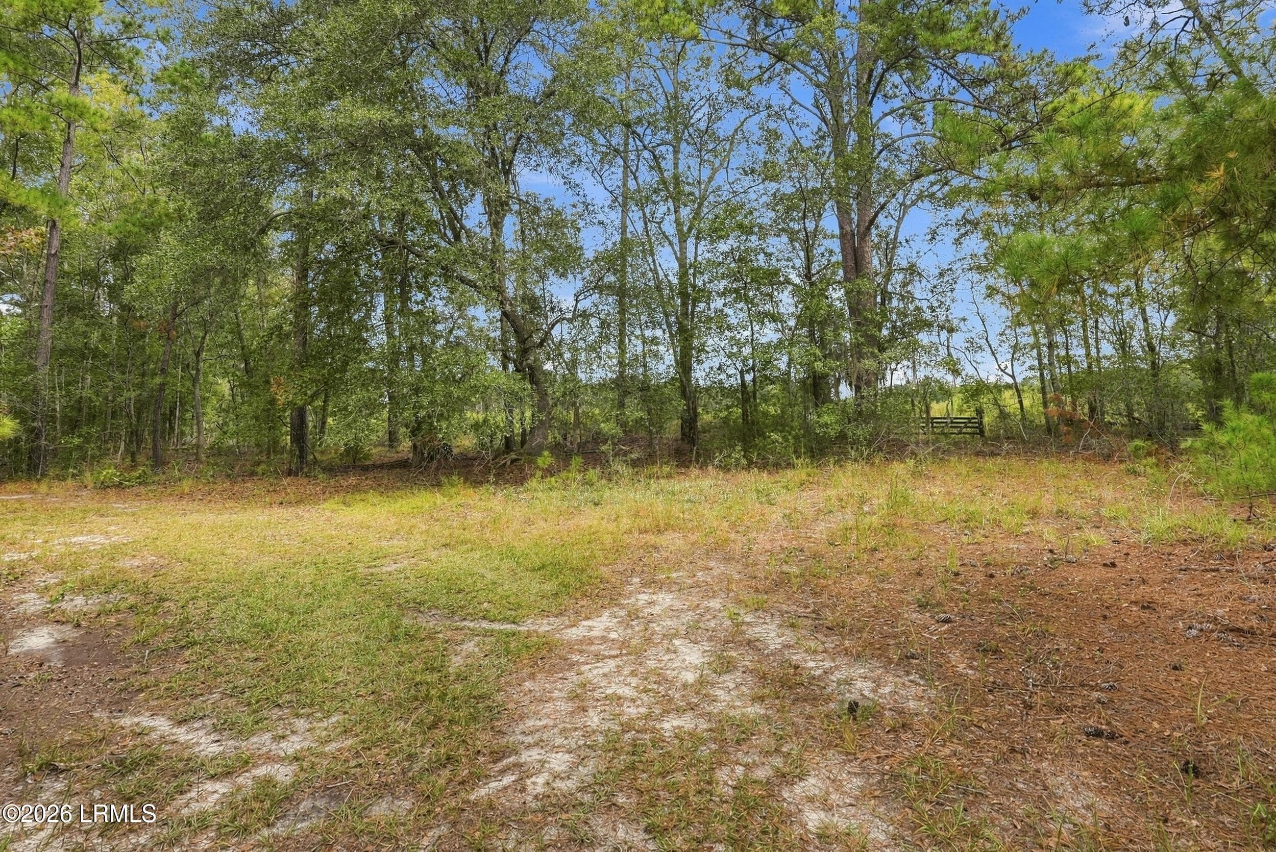 7_dsc08187 - Tbd Calf Pen Bay Road, Pineland, SC 29934, Pineland