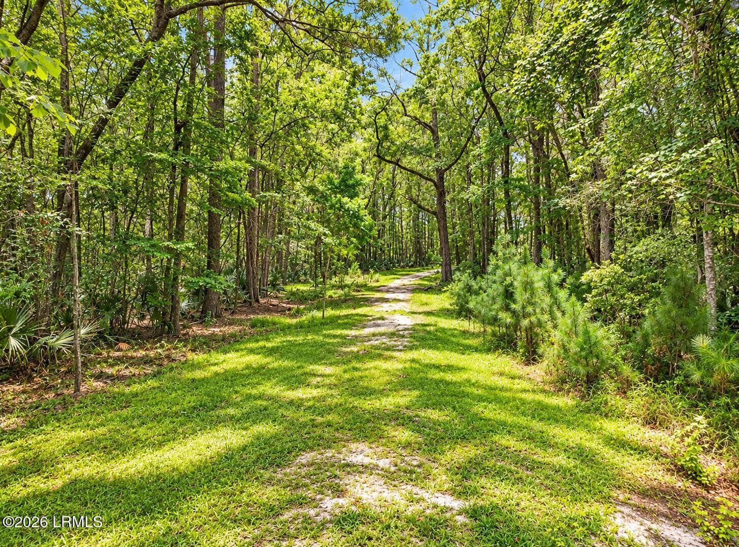 Sunlit Woodland Trail - 224 Hampton Lake Drive, Bluffton, SC 29910, Bluffton