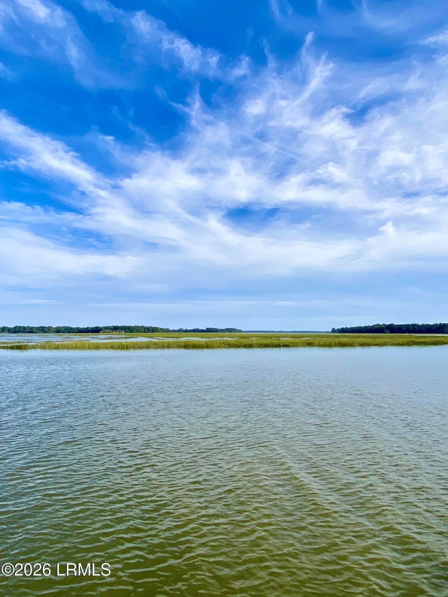 IMG_0565 - 109 River House Drive, Beaufort, SC 29907, Beaufort