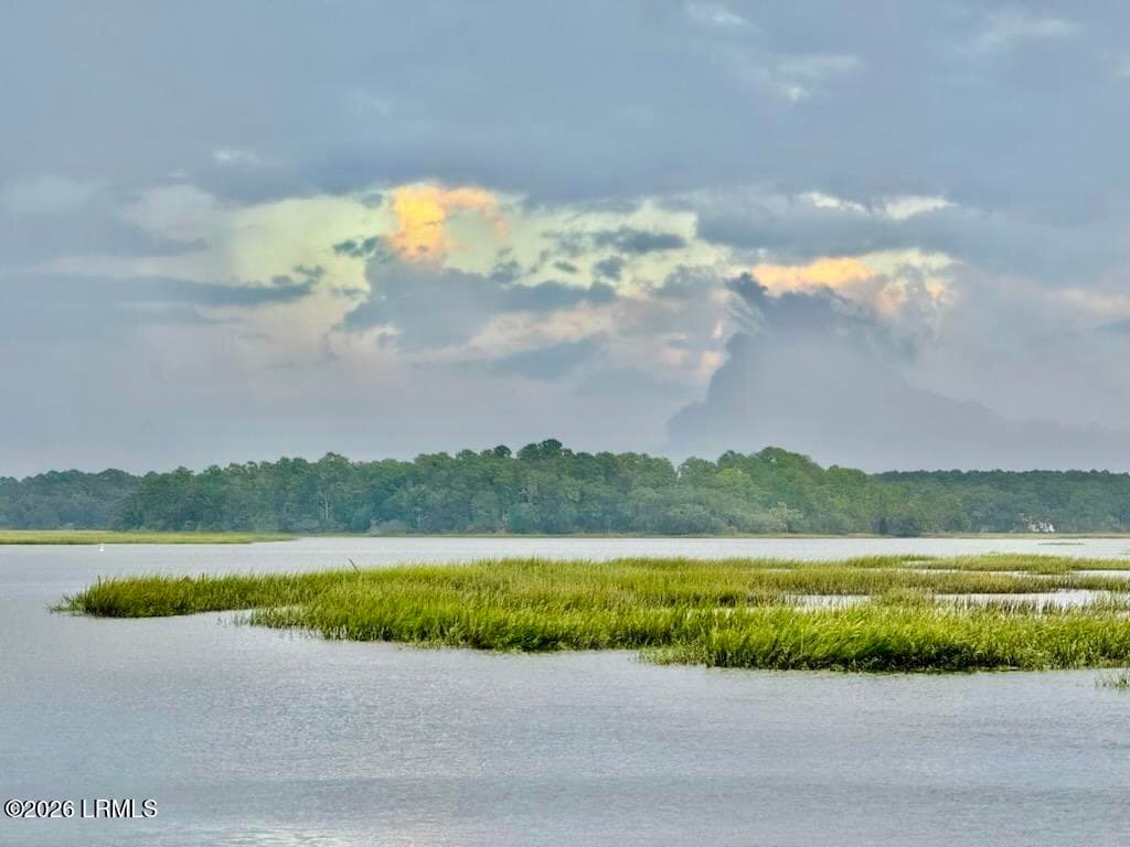 IMG_4230 - 109 River House Drive, Beaufort, SC 29907, Beaufort