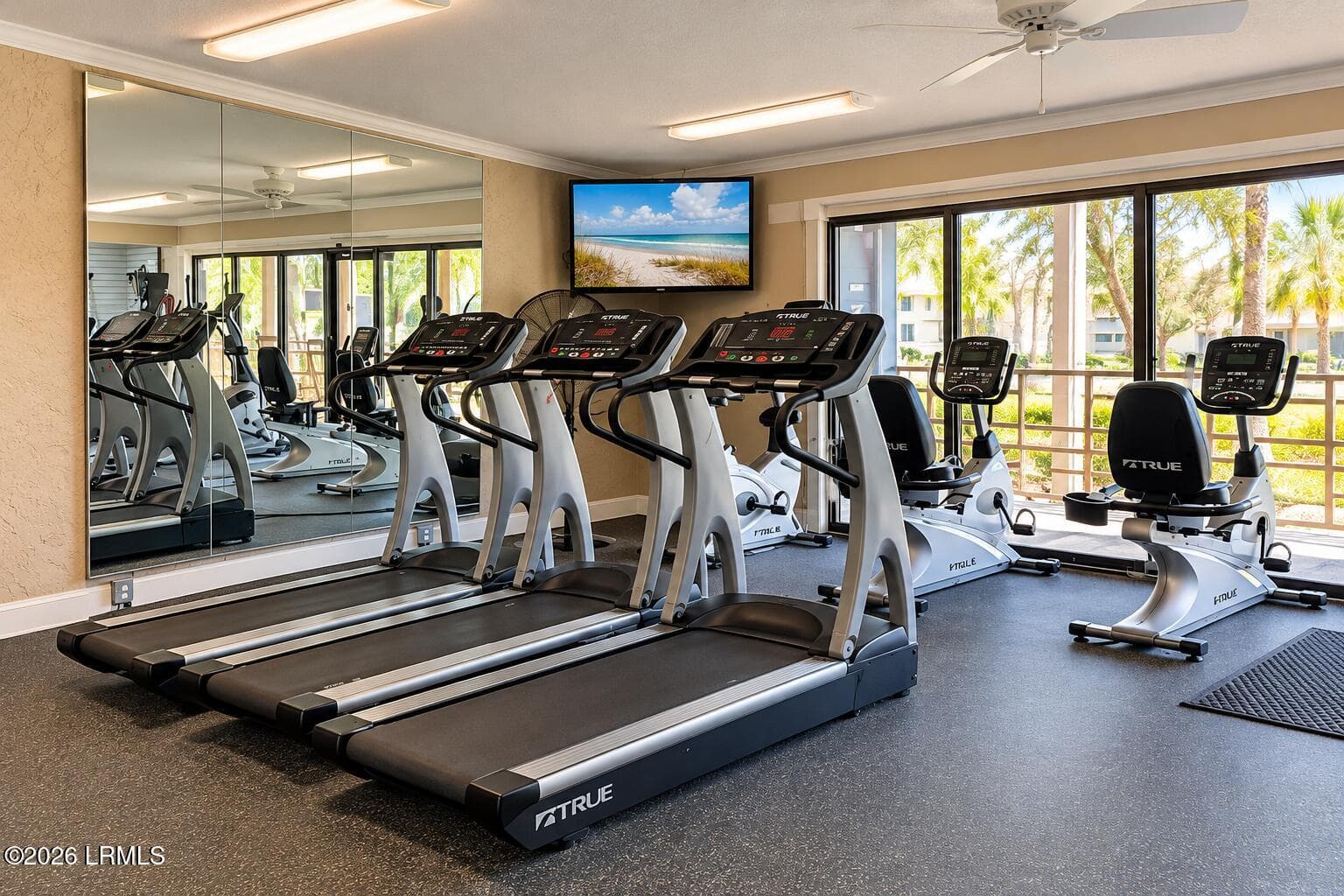 Bright Modern Gym with Tropical Views - 40 Folly Field Road 205b, Hilton Head Island, SC 29928, Hilton Head Island