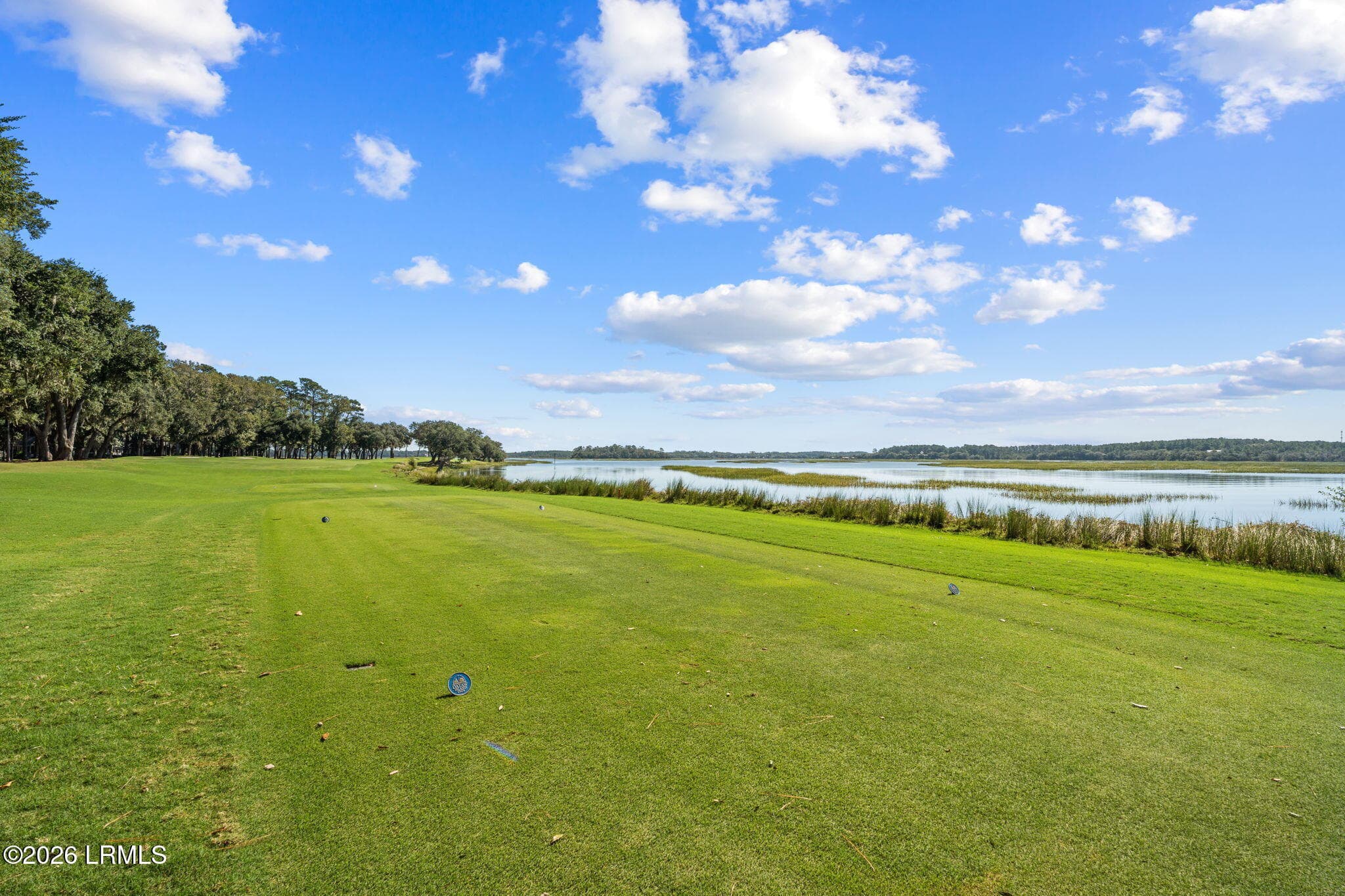 57-web-or-mls-DSC04682 - 235 Dataw Drive, St. Helena Island, SC 29920, St. Helena Island