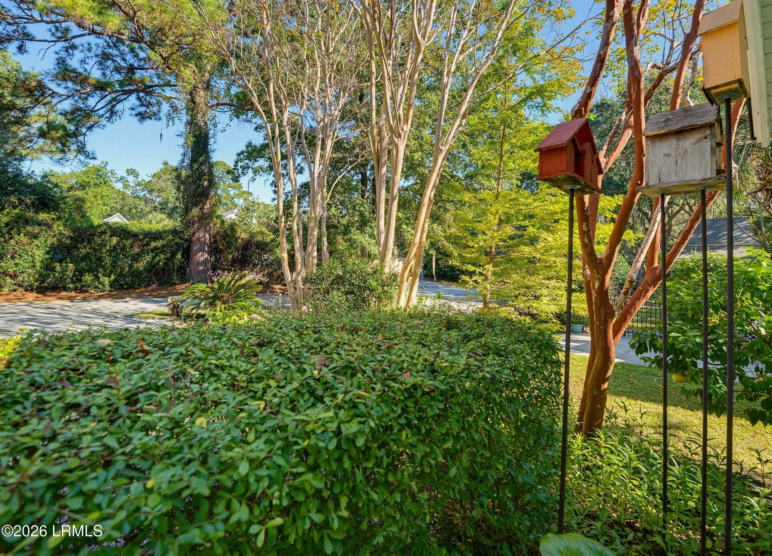 DSC01270-301-1.jpg-SMALL - 58 Petigru Drive, Beaufort, SC 29902