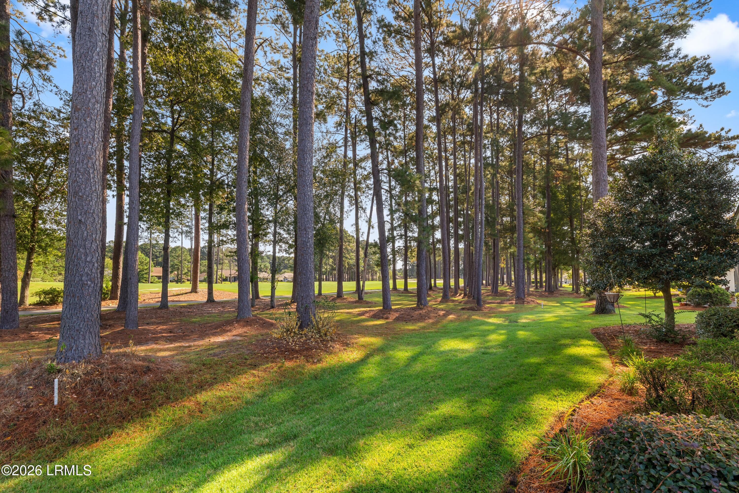 74 Stratford Village Way - 39 - 74 Stratford Village Way, Bluffton, SC 29909