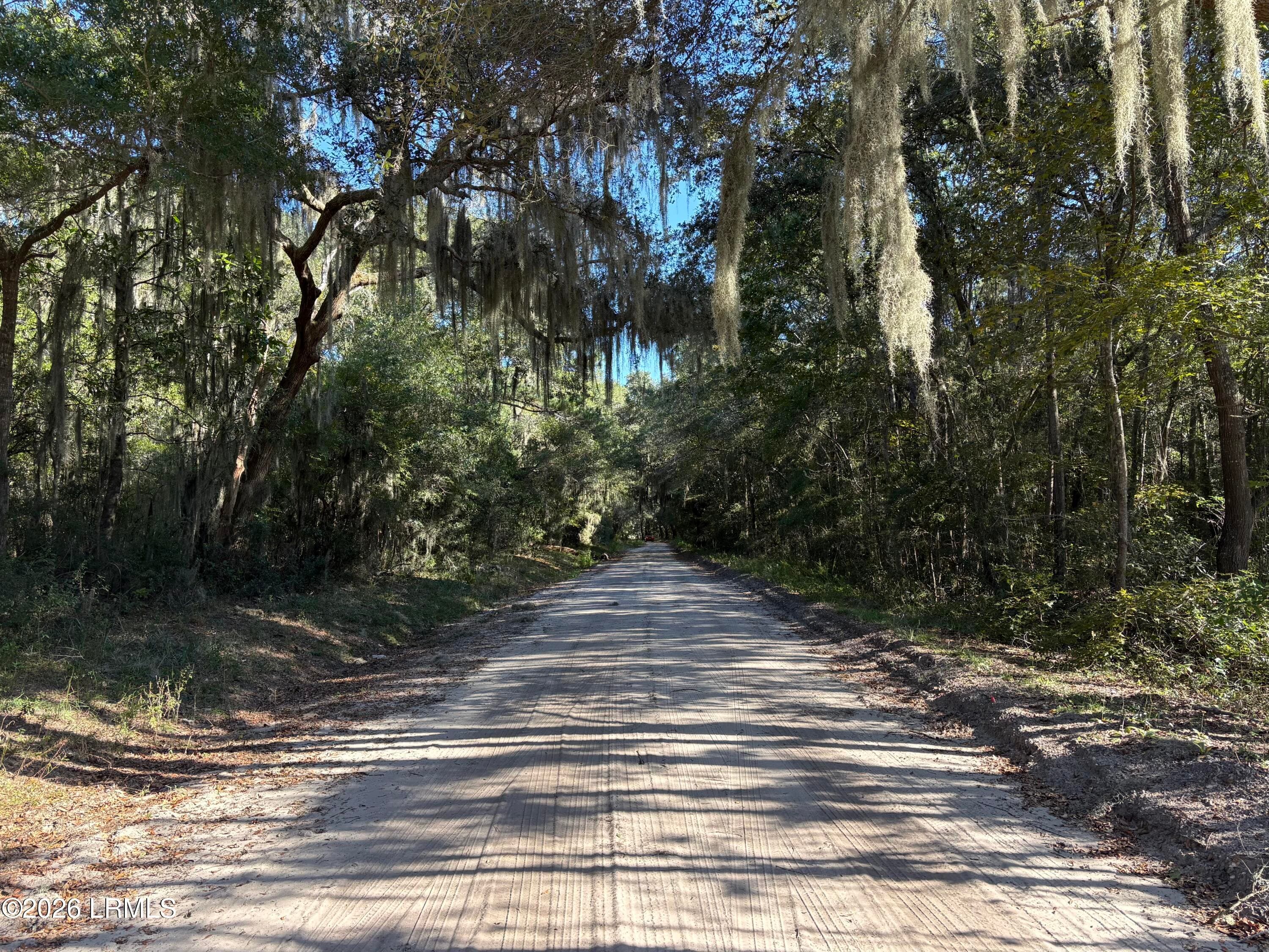 Entrance Road - 37 Mclane Street, St. Helena Island, SC 29920