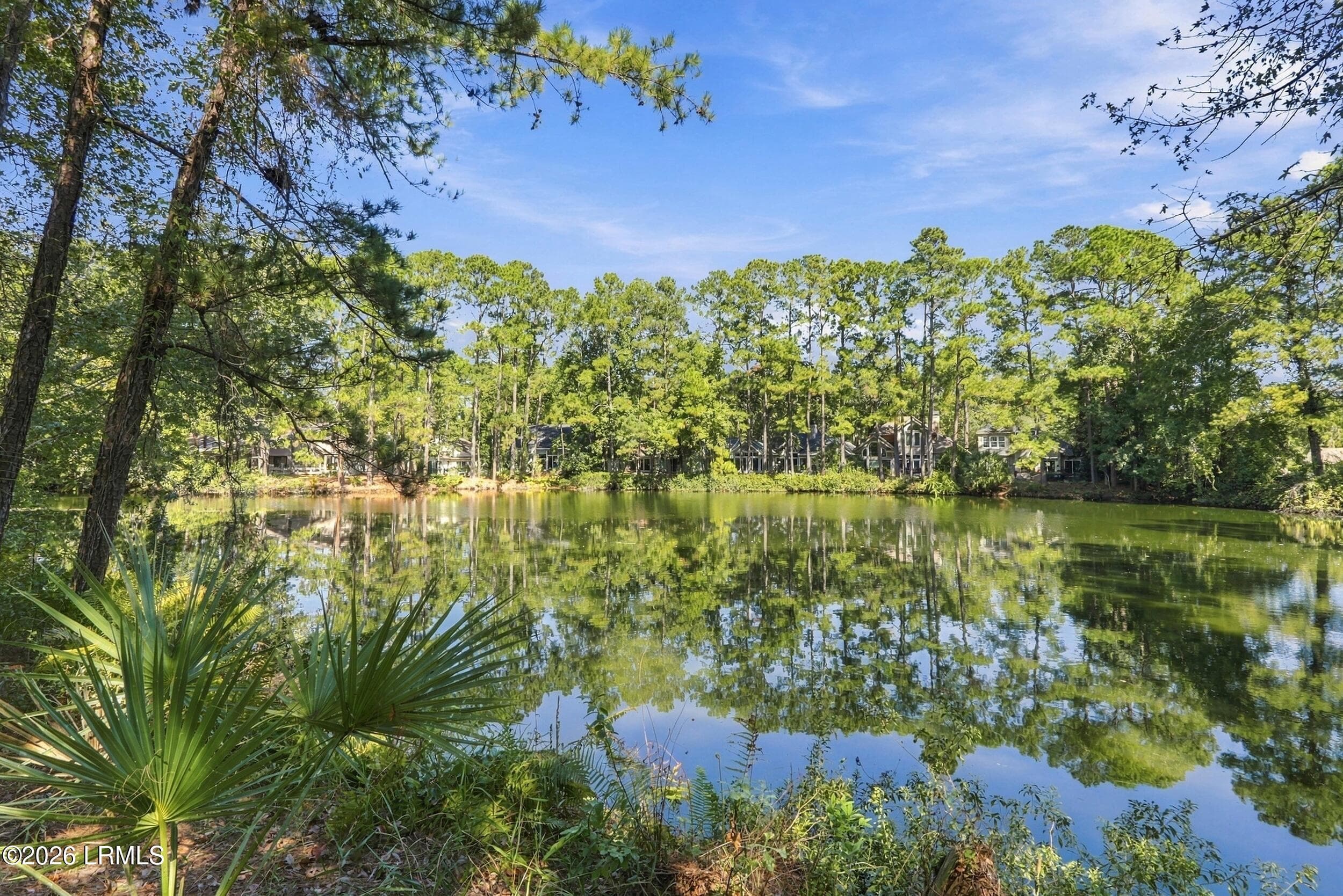 64_dsc06068 - 20 Toppin Drive, Hilton Head Island, SC 29926