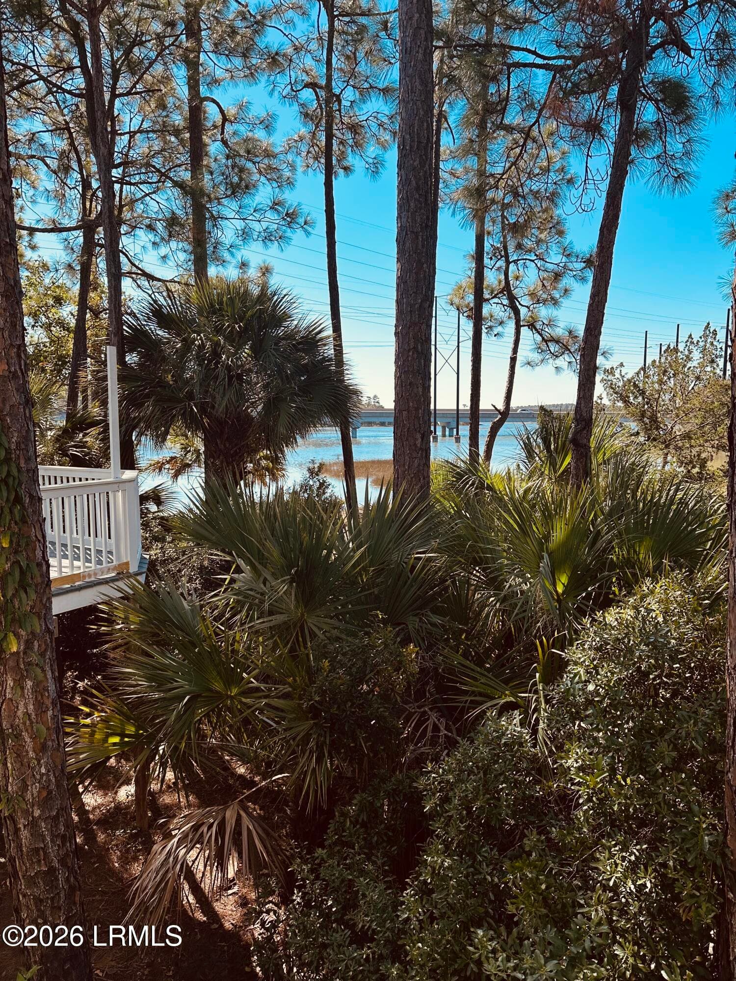 IMG_2278 - 16 Pine Burr Road E 8, Hilton Head Island, SC 29926