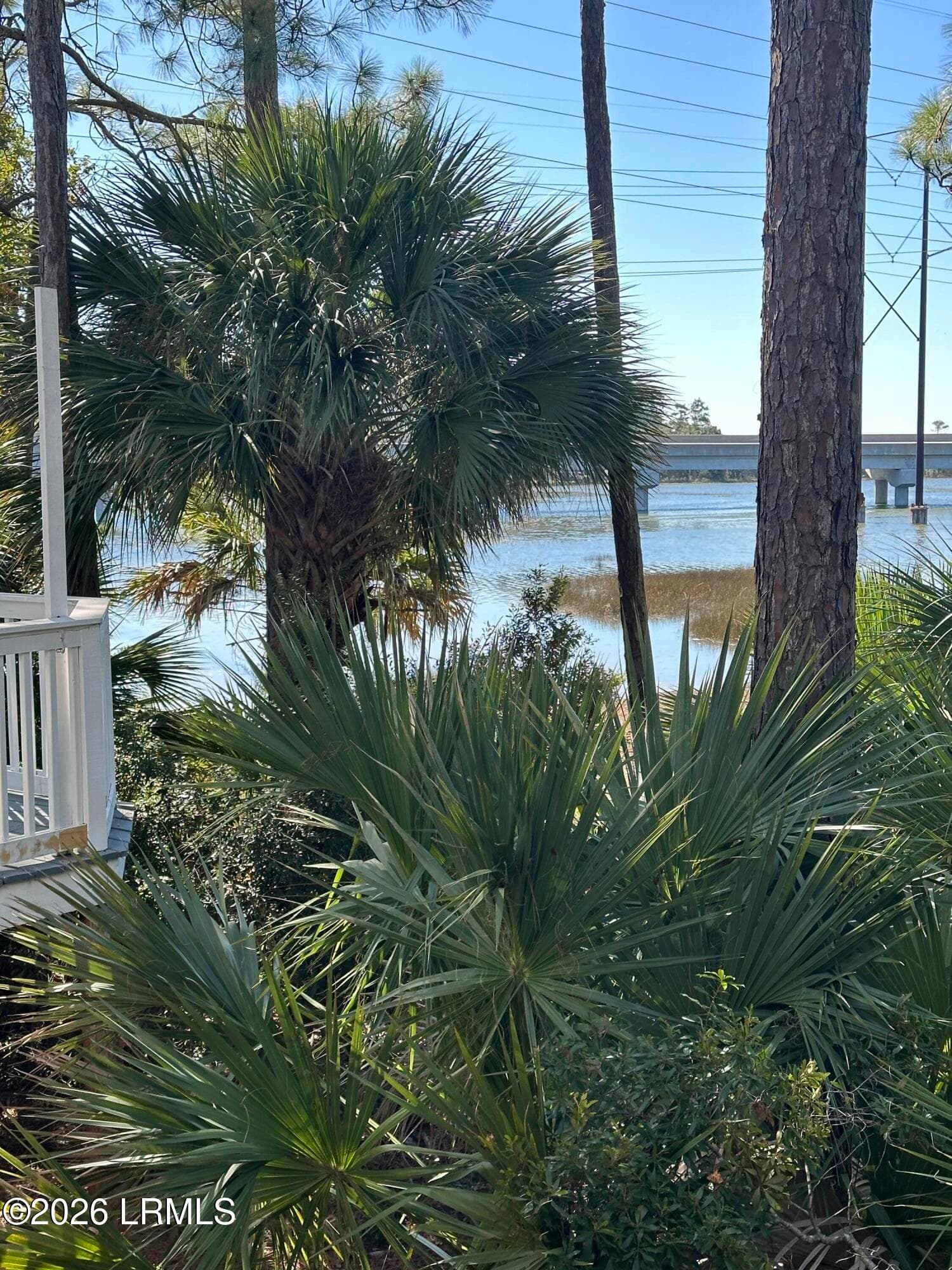 IMG_2276 - 16 Pine Burr Road E 8, Hilton Head Island, SC 29926