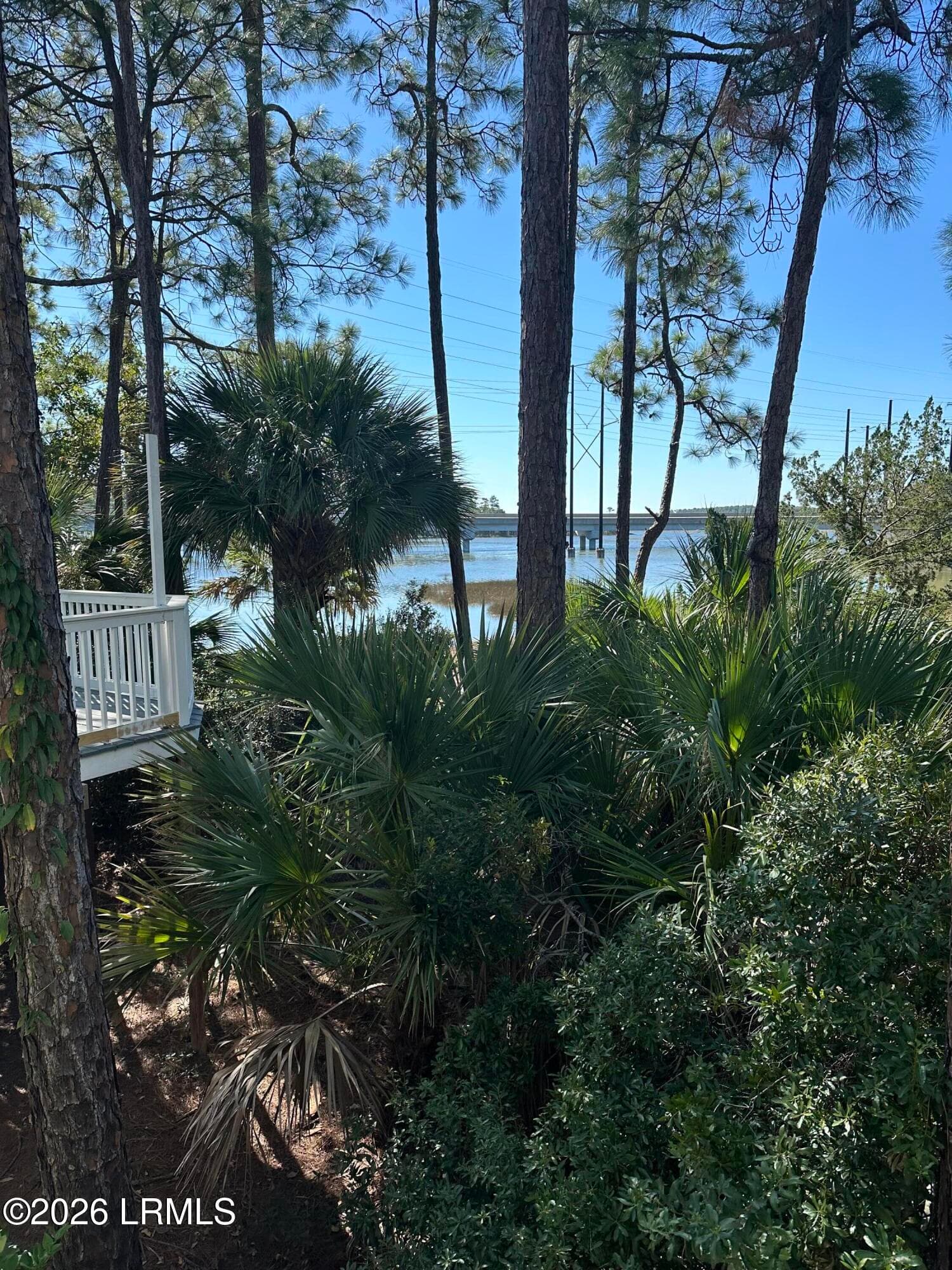 IMG_2277 - 16 Pine Burr Road E 8, Hilton Head Island, SC 29926