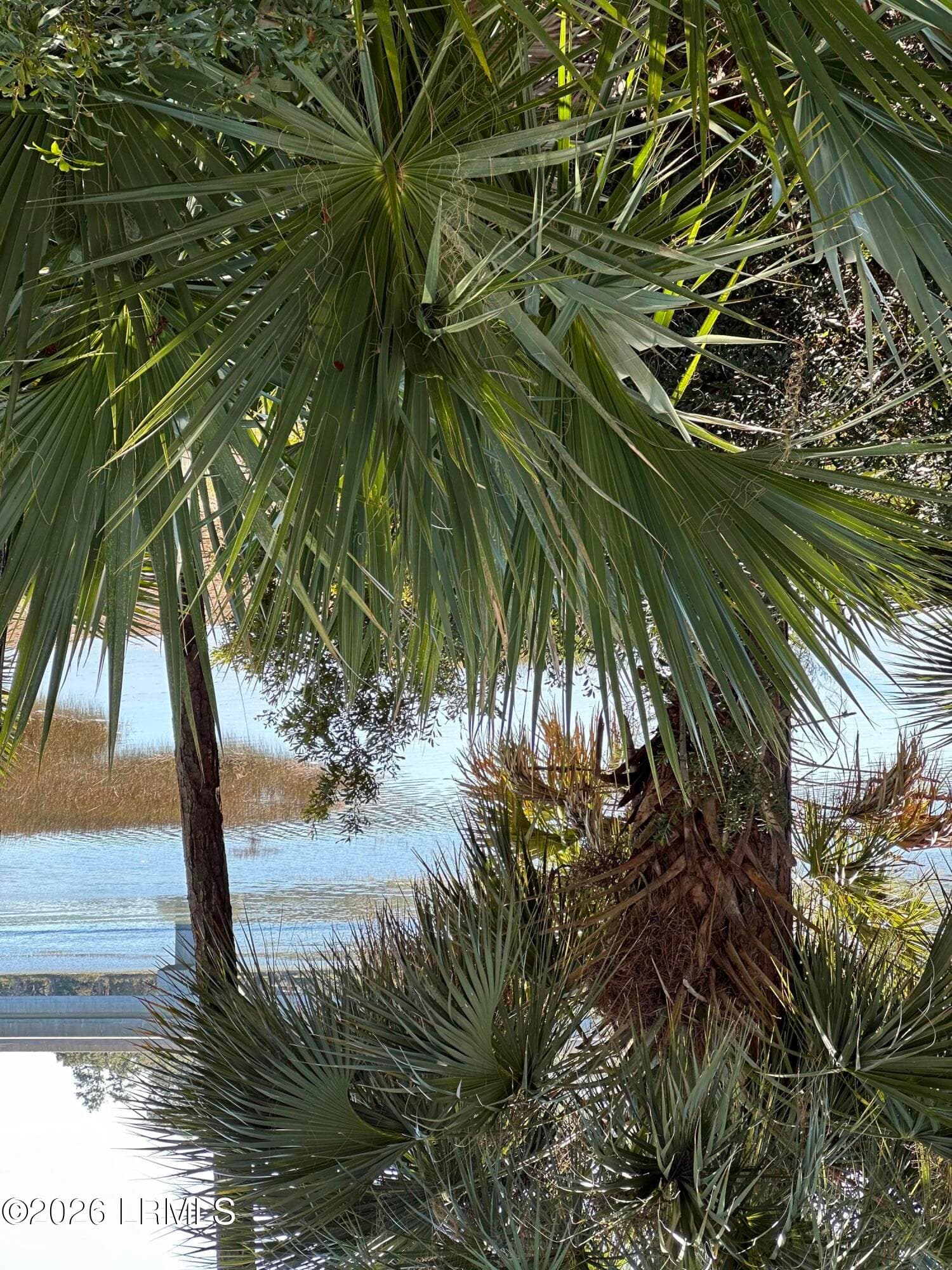 IMG_2275 - 16 Pine Burr Road E 8, Hilton Head Island, SC 29926