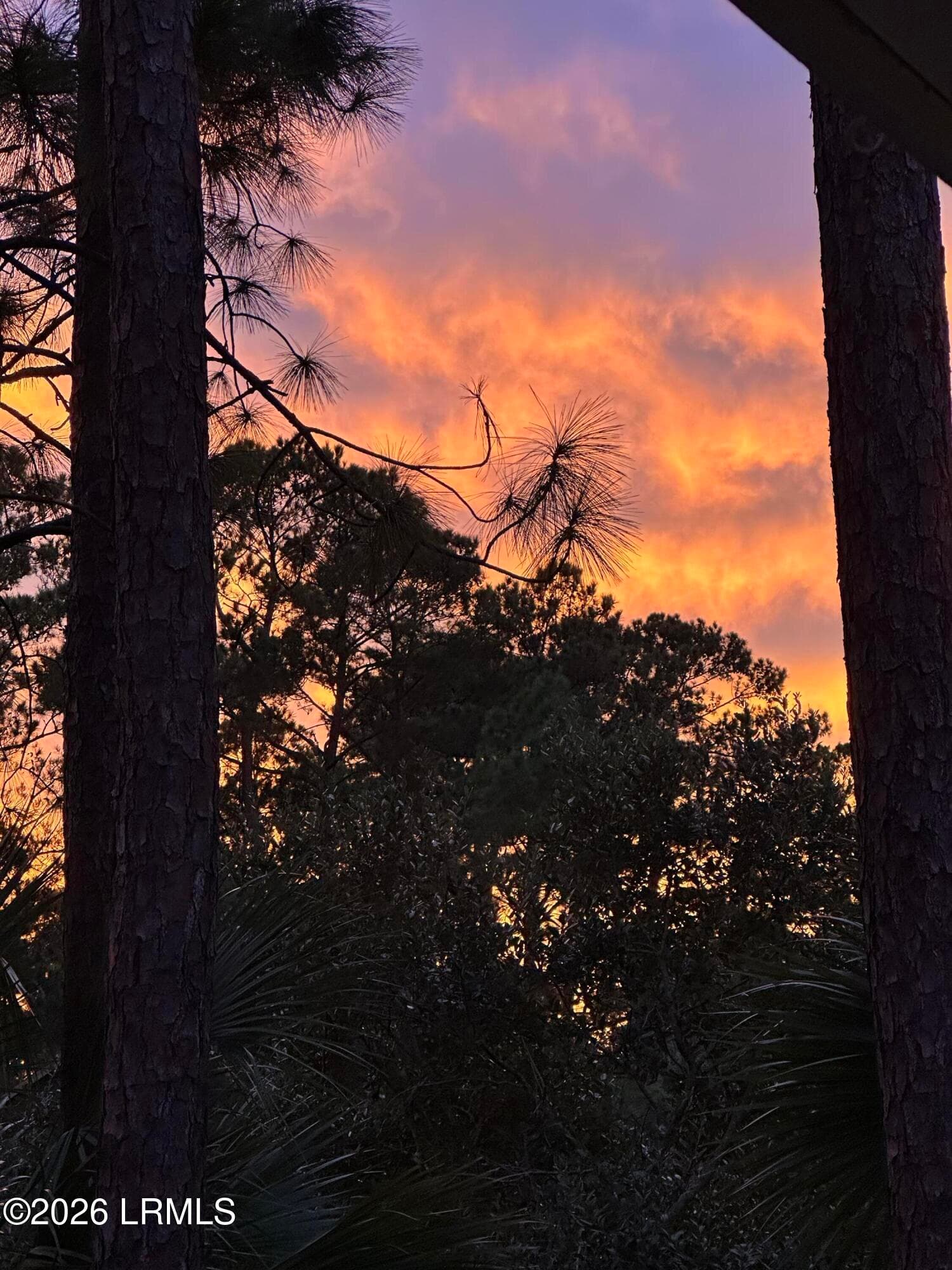 IMG_2190 - 16 Pine Burr Road E 8, Hilton Head Island, SC 29926